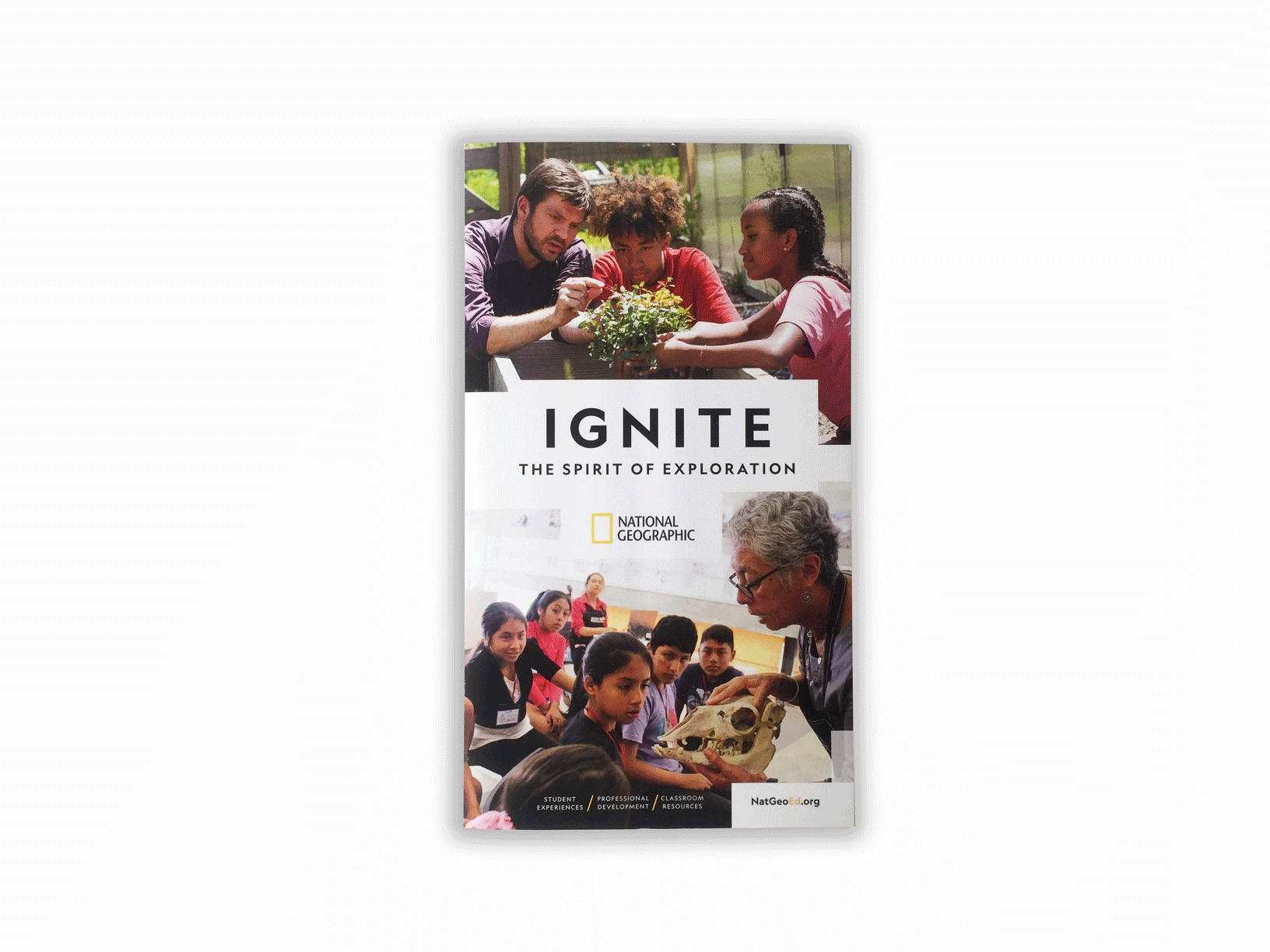 Holistic-Brochure.gif