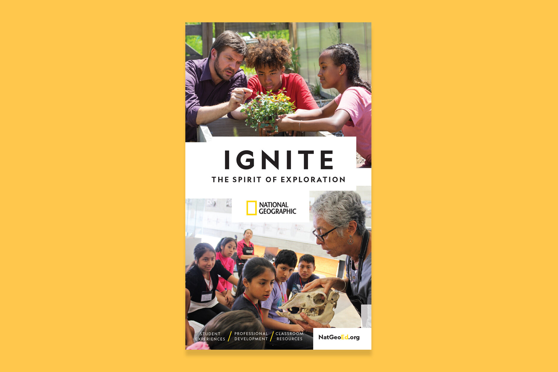 Holistic Brochure - Slides.jpg