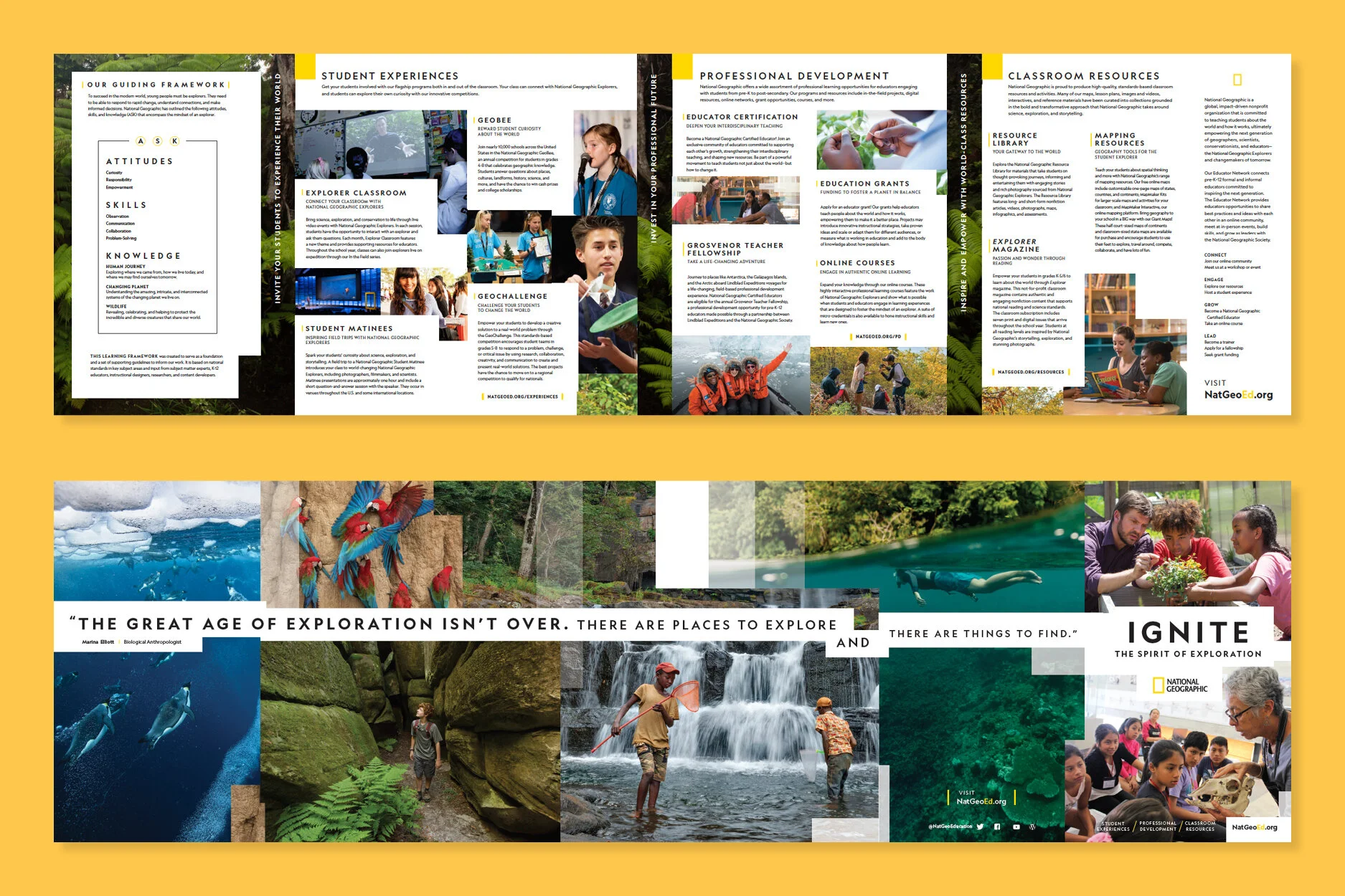 Holistic Brochure - Slides3.jpg