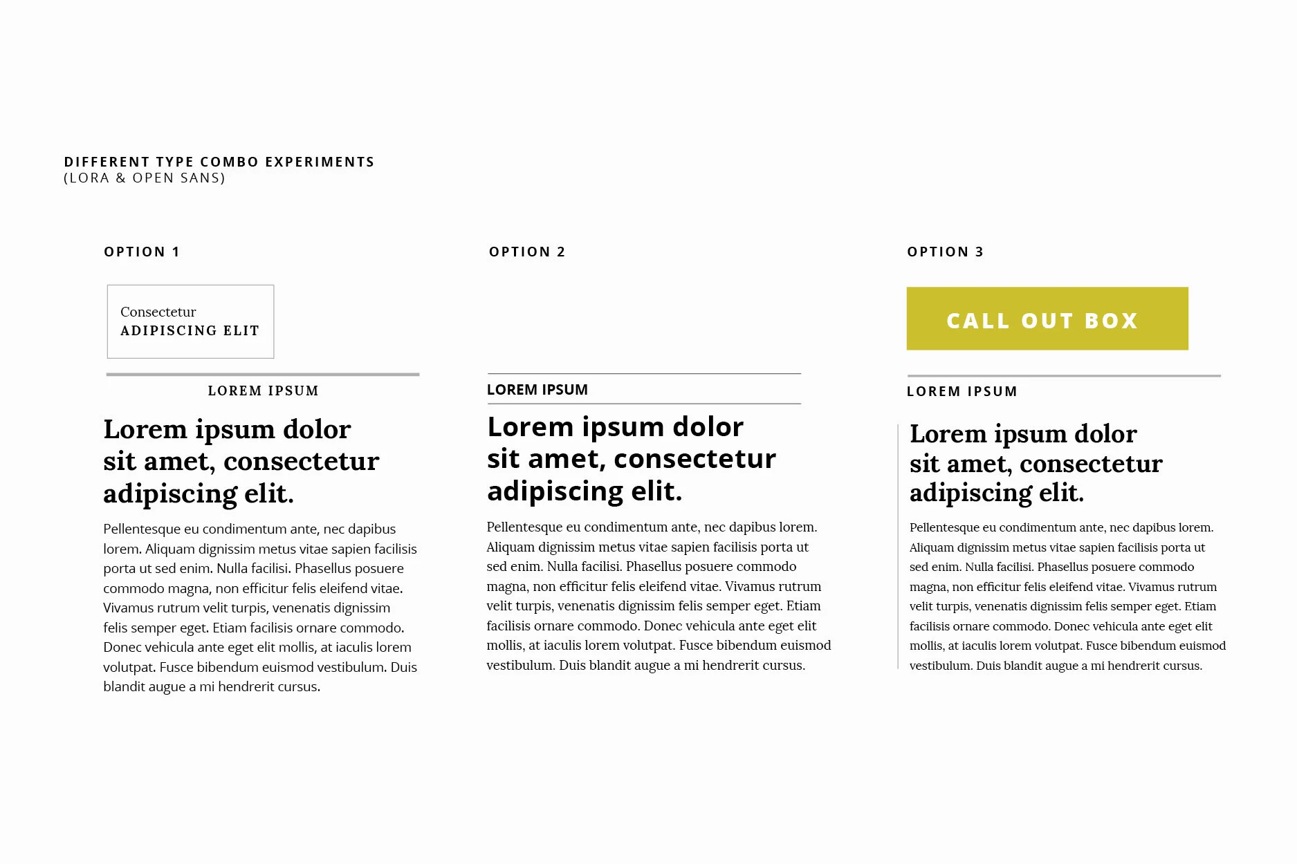 Portfolio - Slides5.jpg