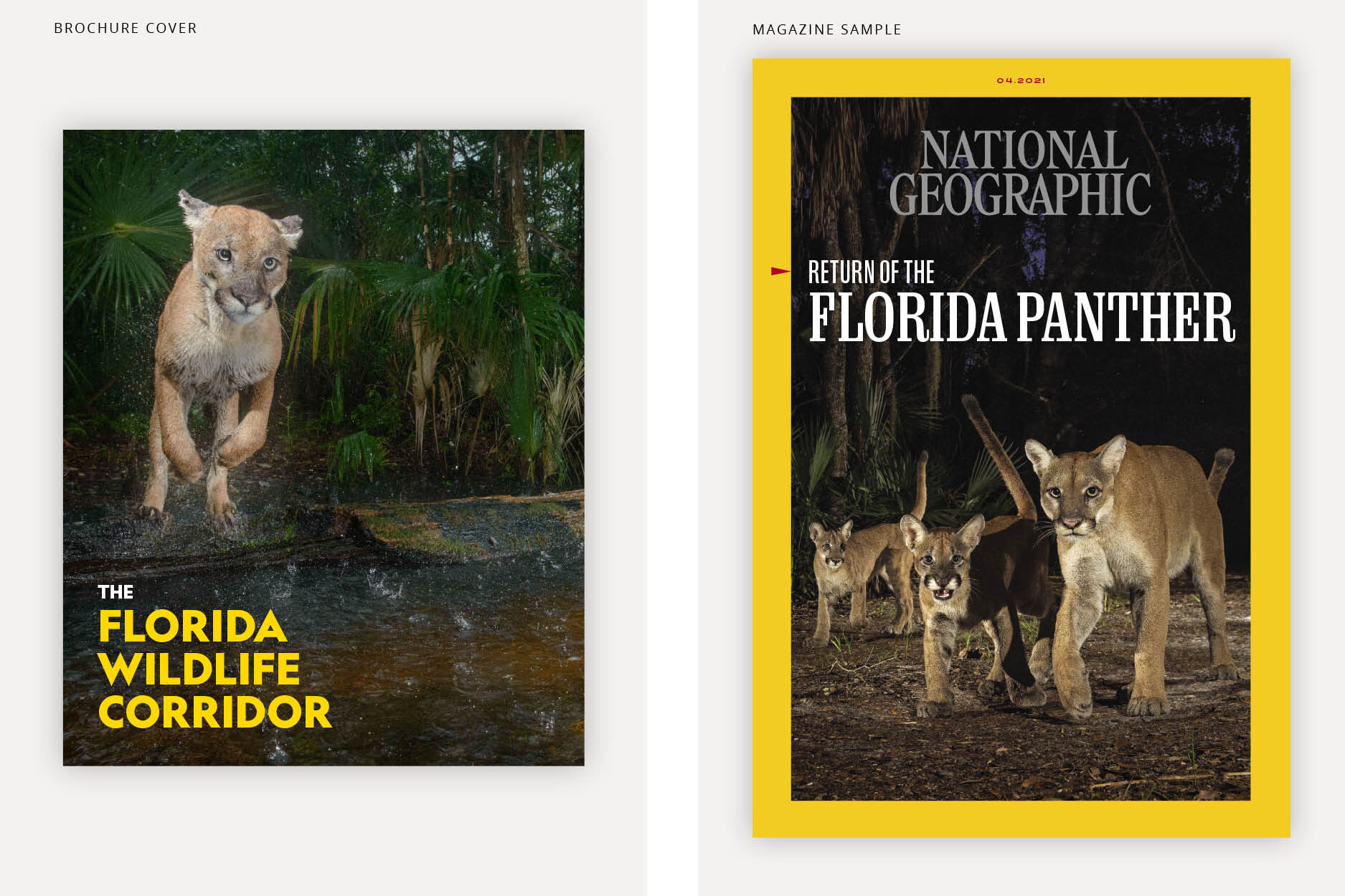 Portfolio Images.jpg