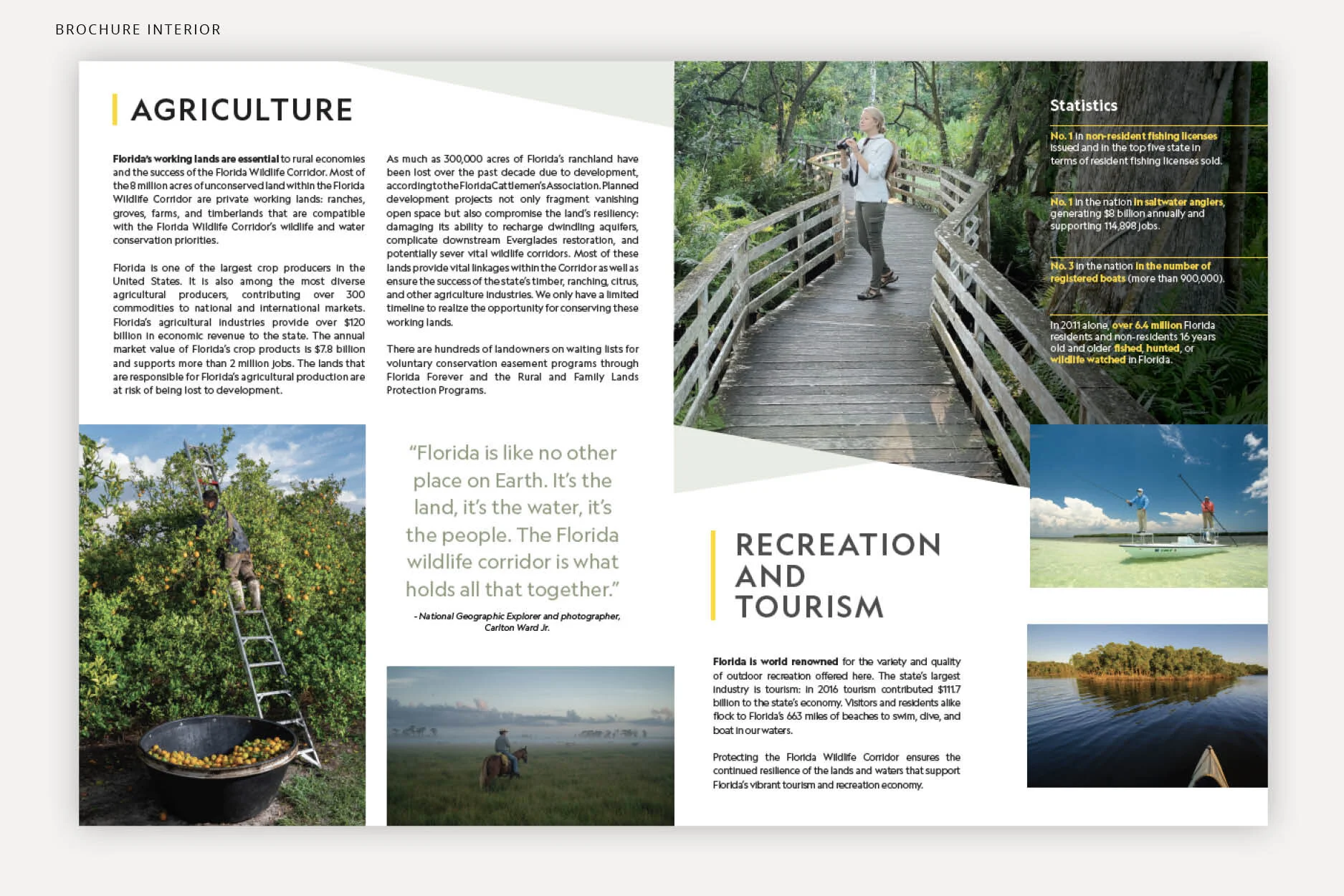 Portfolio Images3.jpg