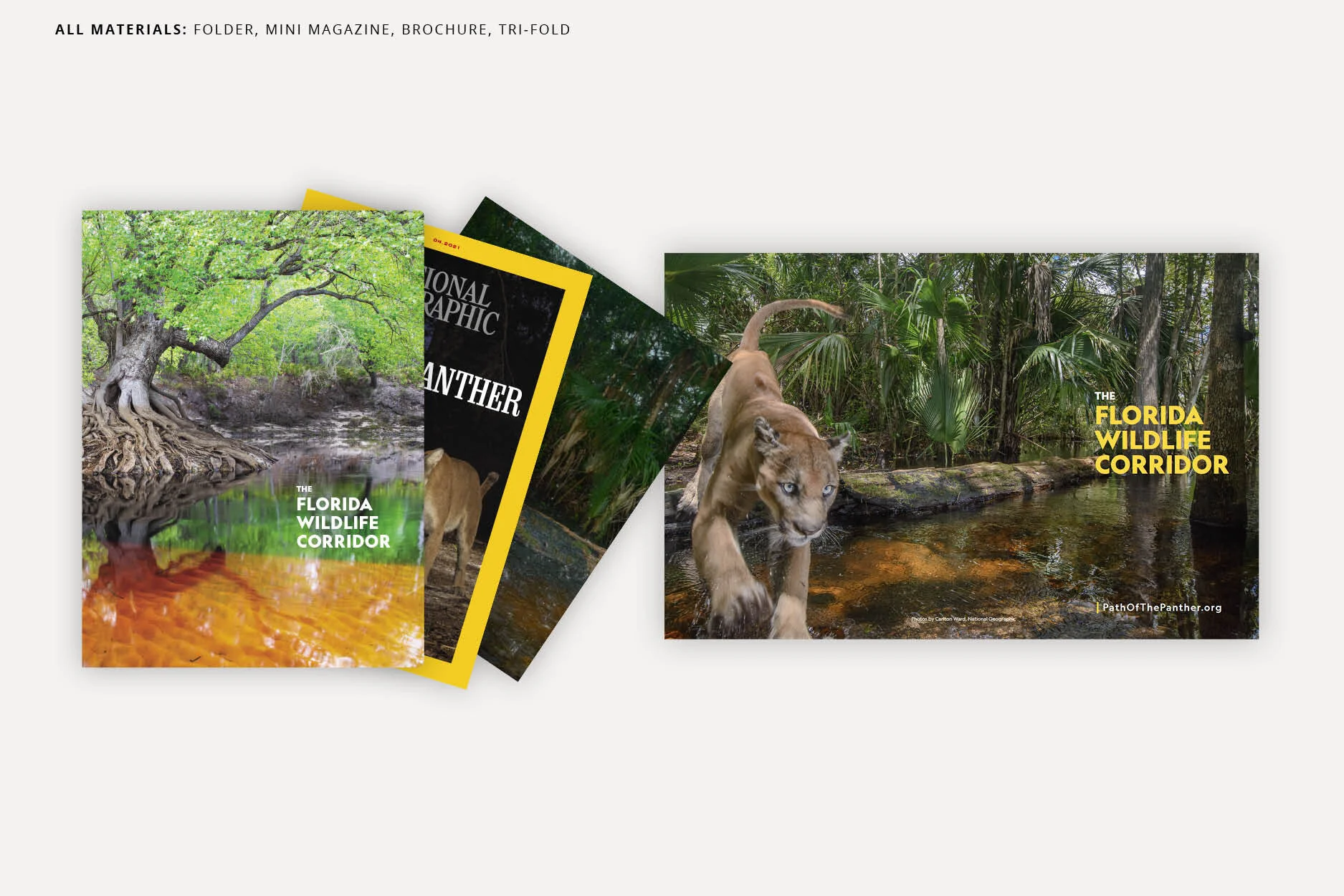Portfolio Images6.jpg