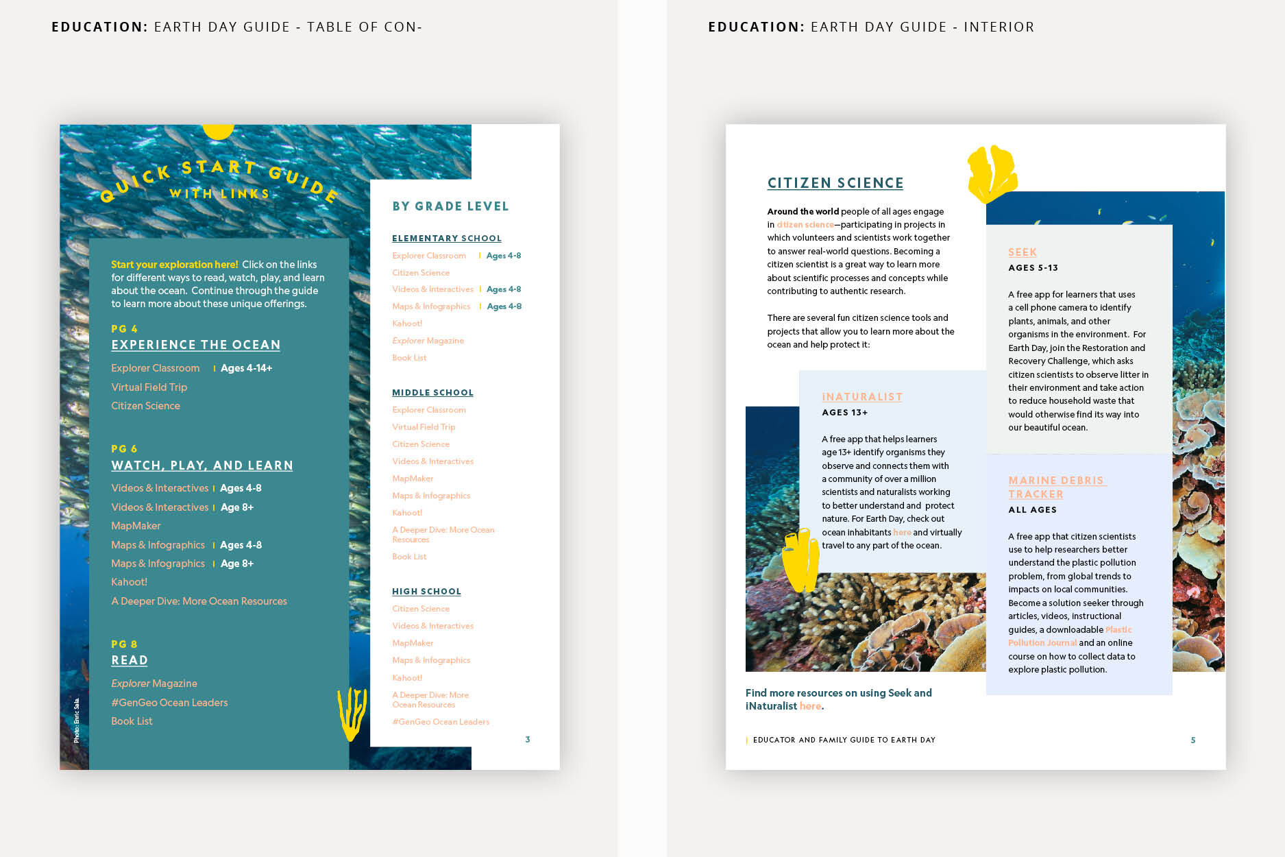 Portfolio Images2.jpg