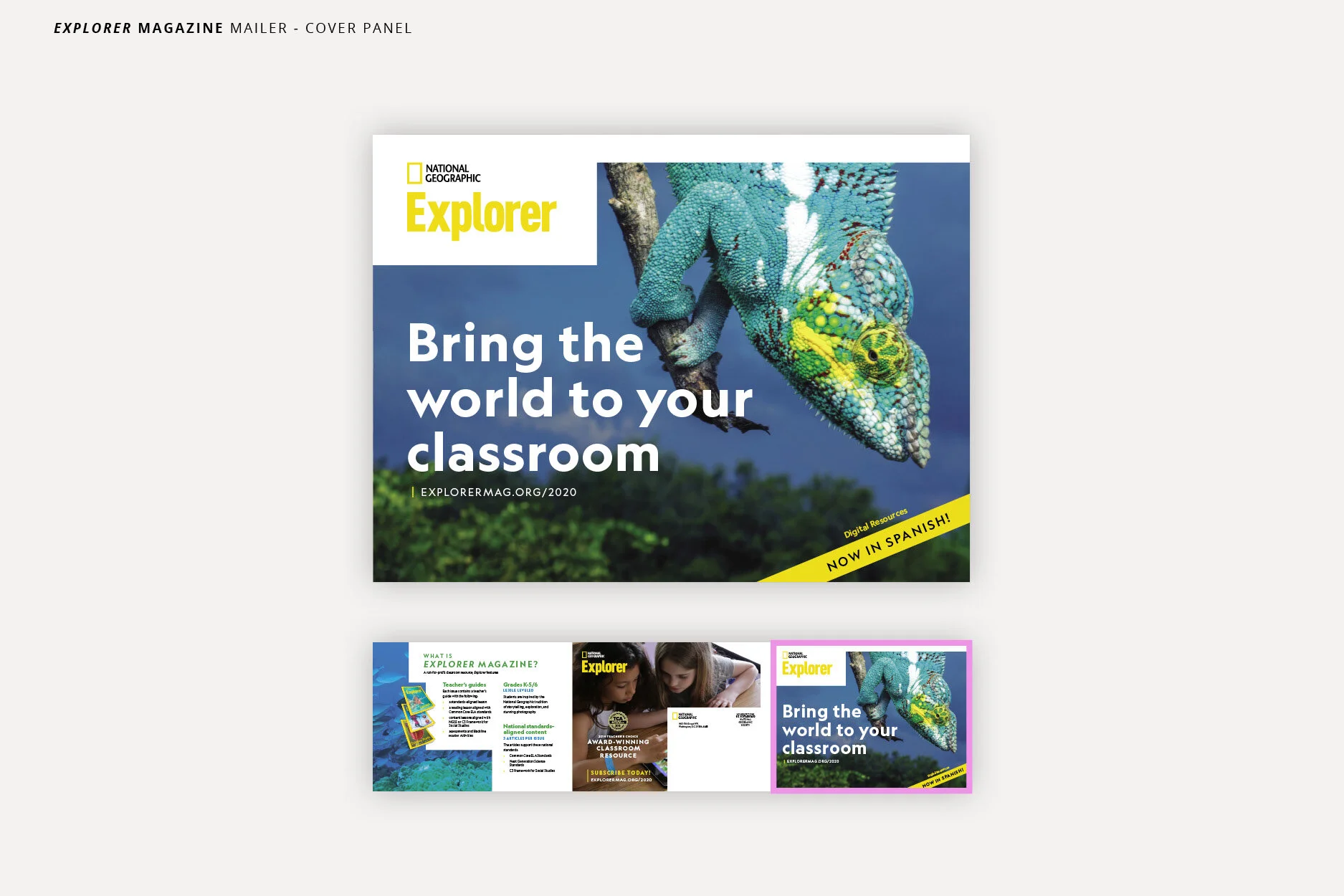 Portfolio Images.jpg