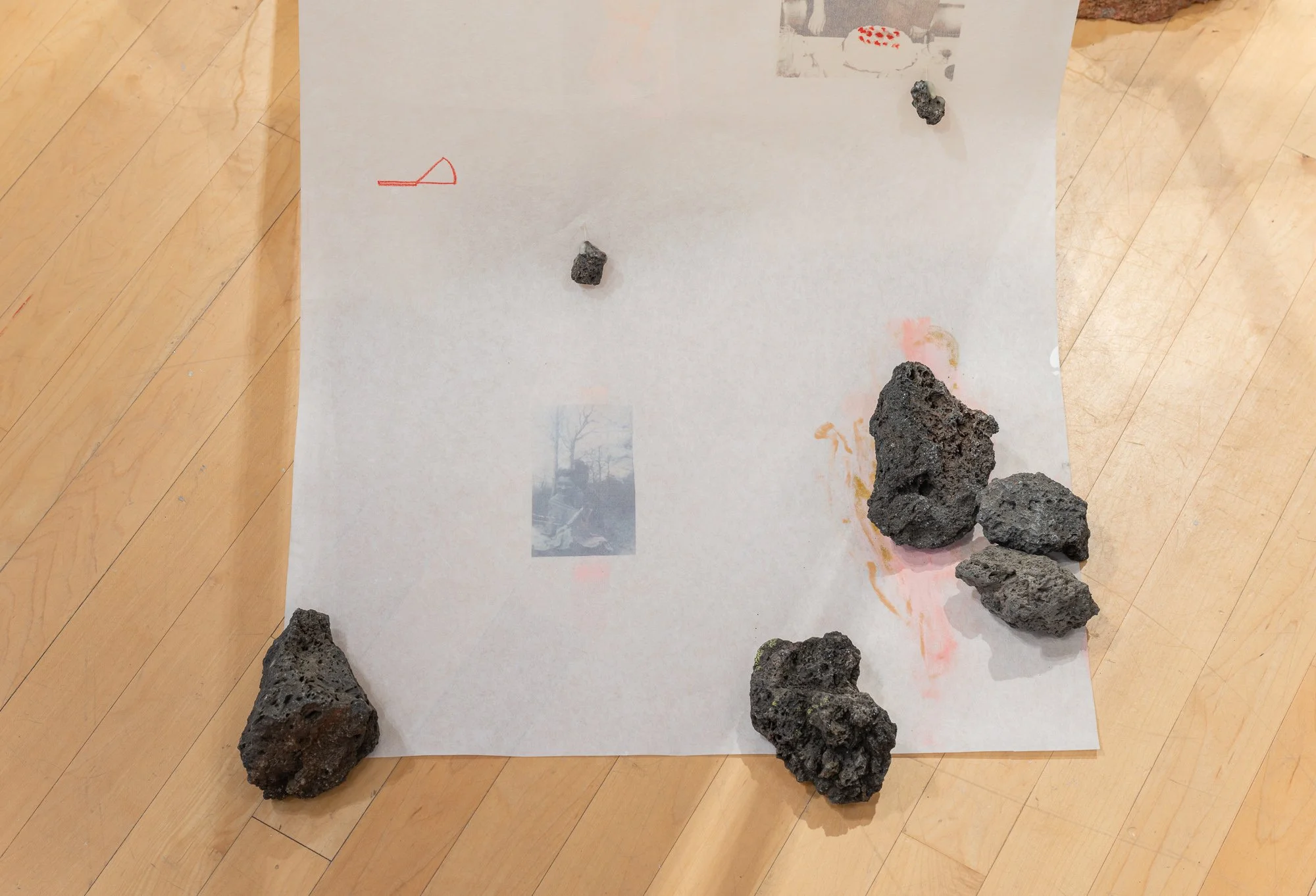 NAvena_Thesis_Exhibition_Marginalia_Detail11.jpg