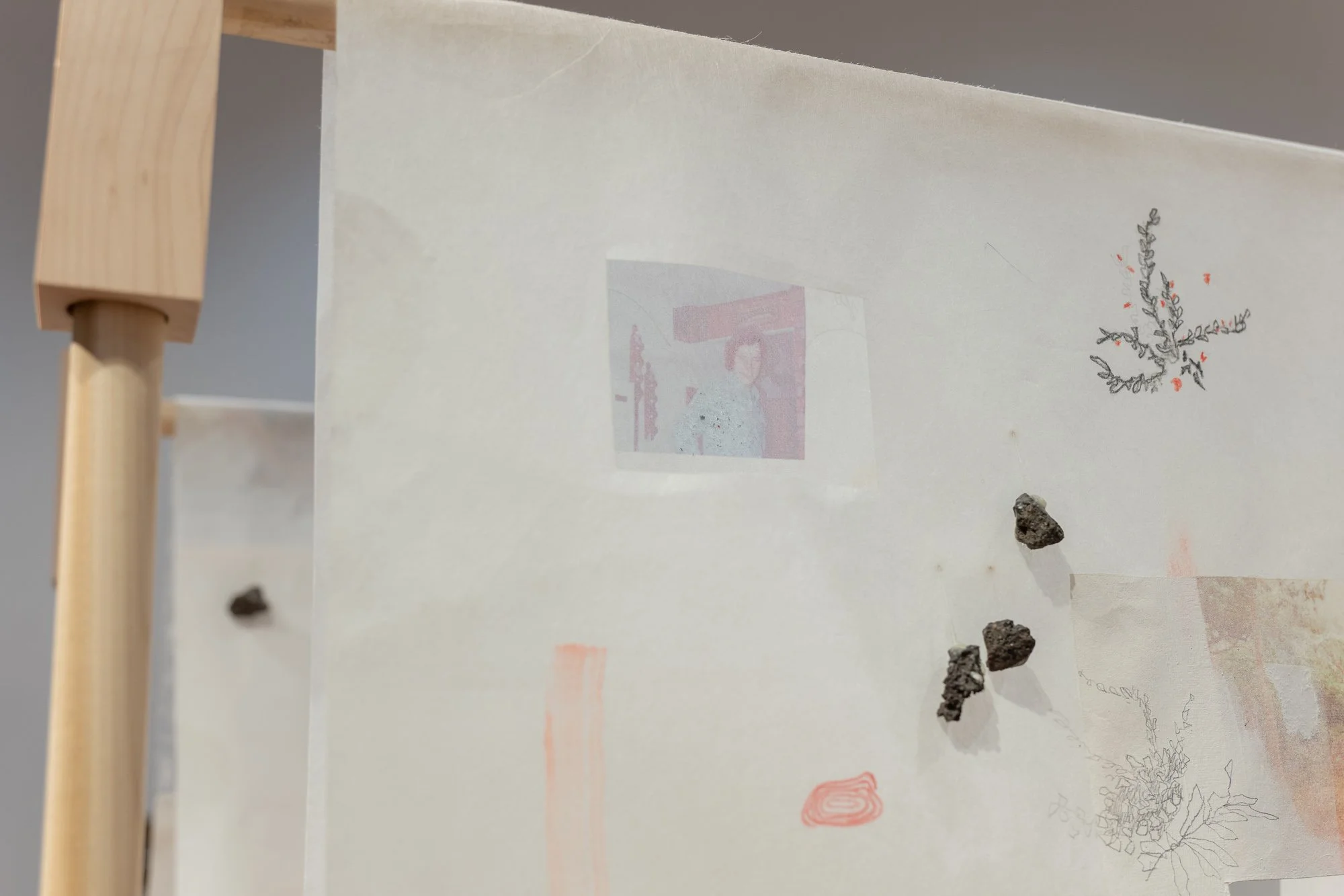 NAvena_Thesis_Exhibition_Marginalia_Detail5.jpg