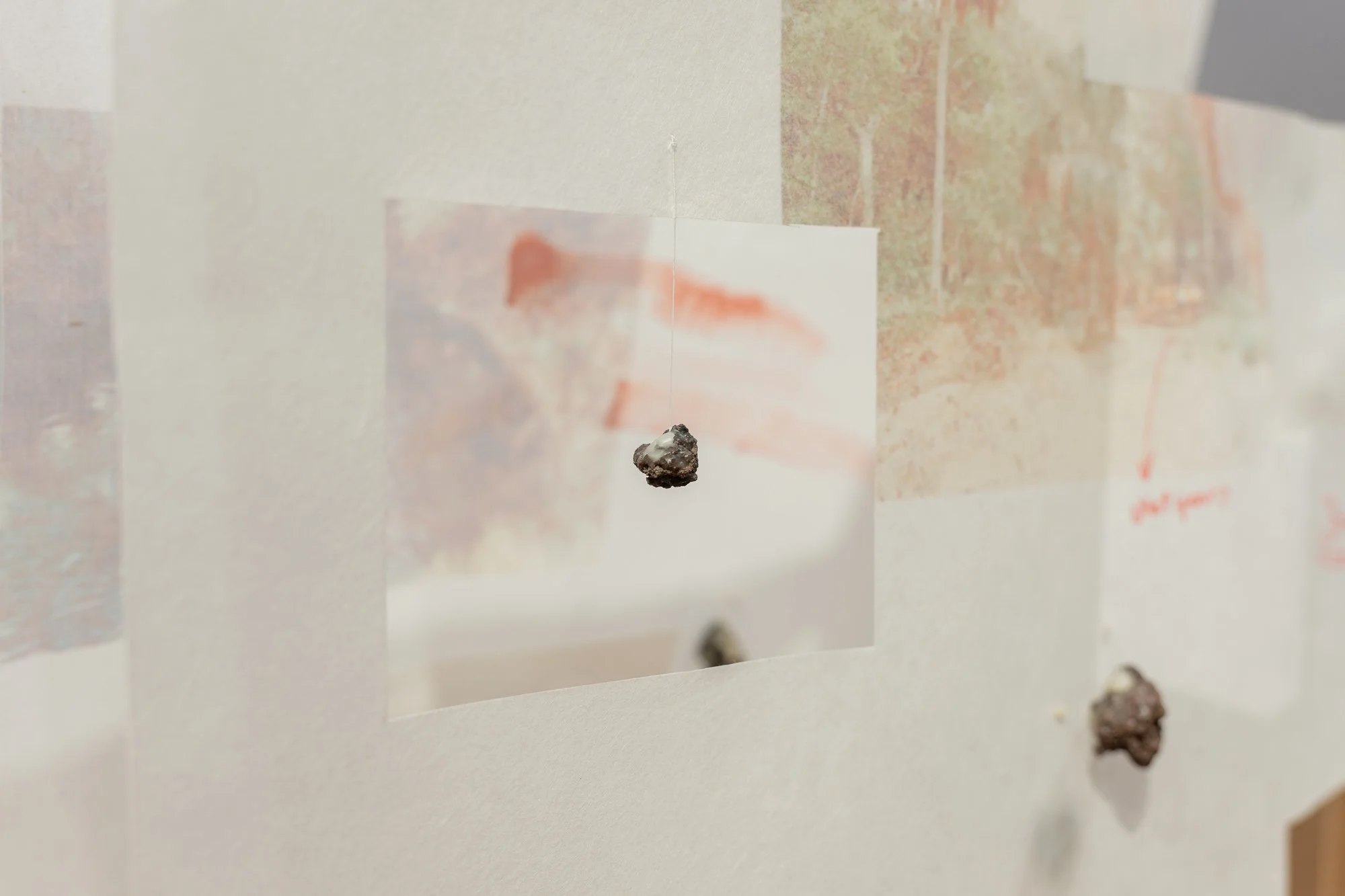 NAvena_Thesis_Exhibition_Marginalia_Detail6.jpg