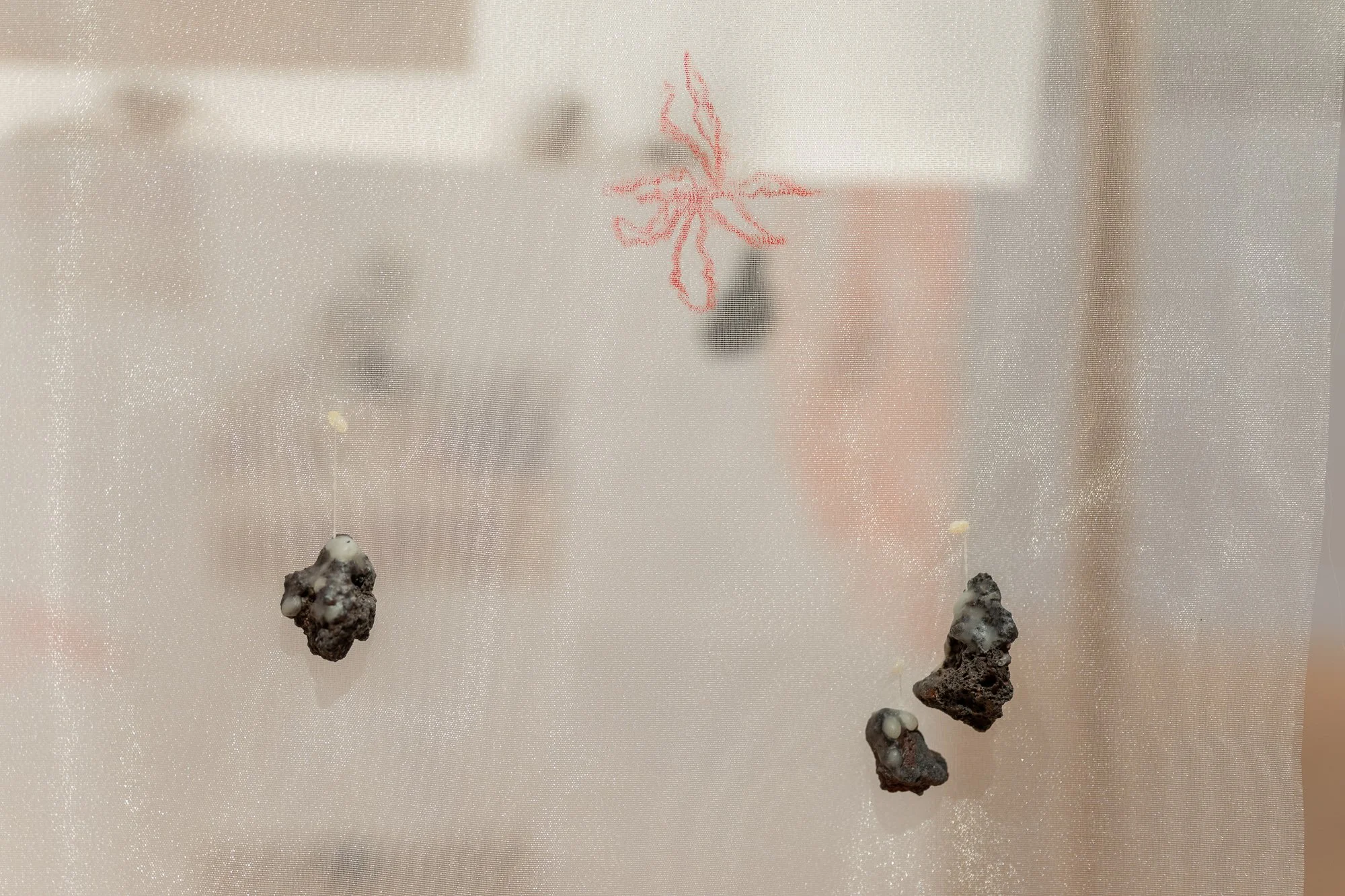 NAvena_Thesis_Exhibition_Marginalia_Detail8.jpg