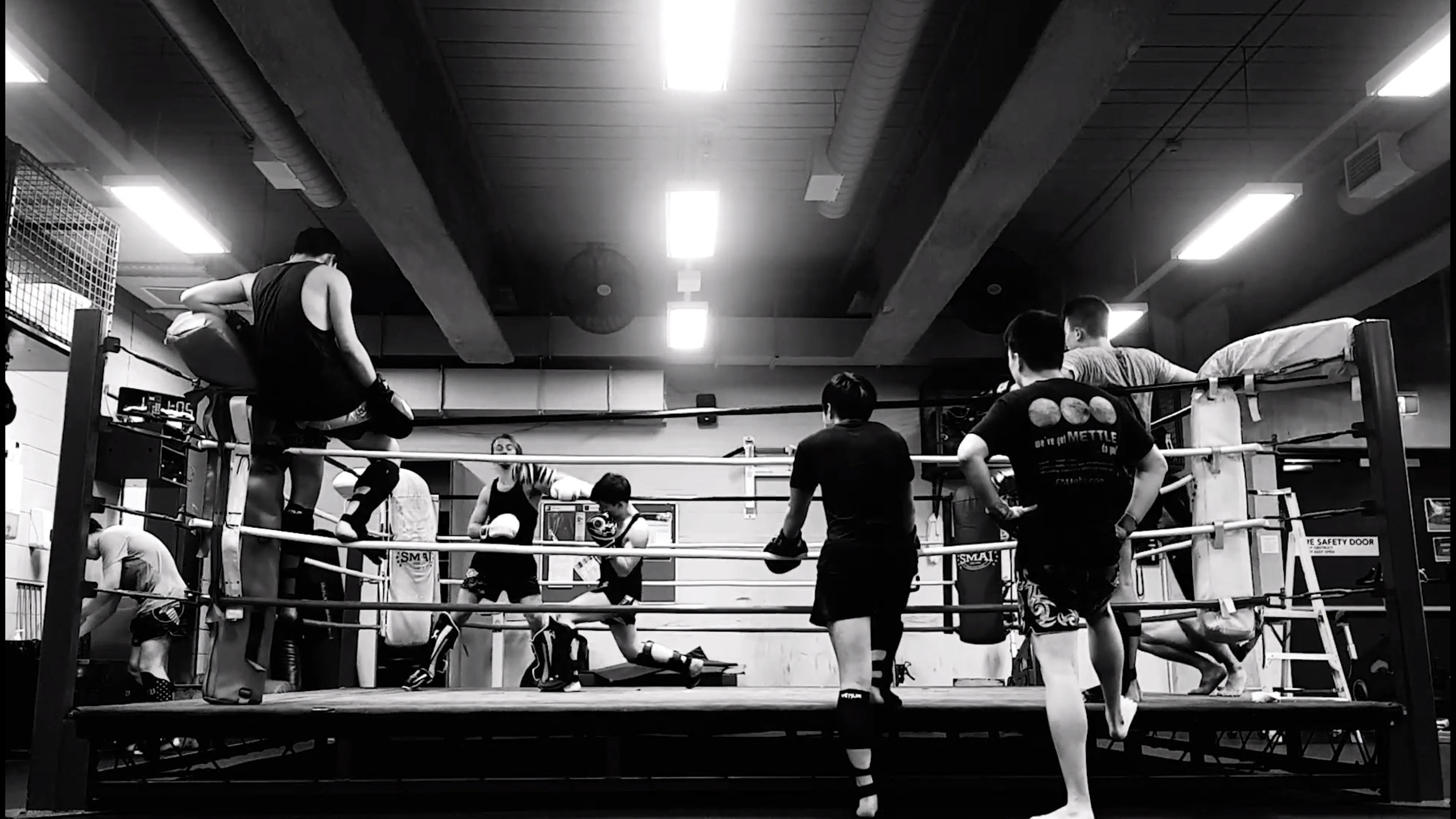 sparring.jpg