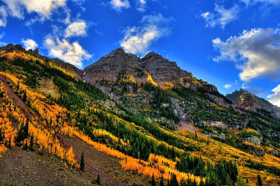 fall-in-aspen-rick-wicker.jpg