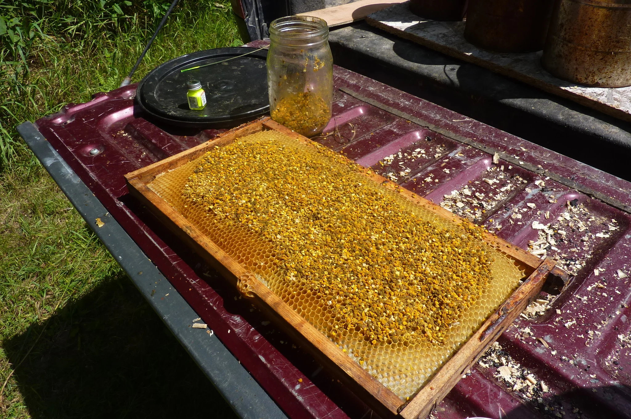  pollen frame for making good queens 