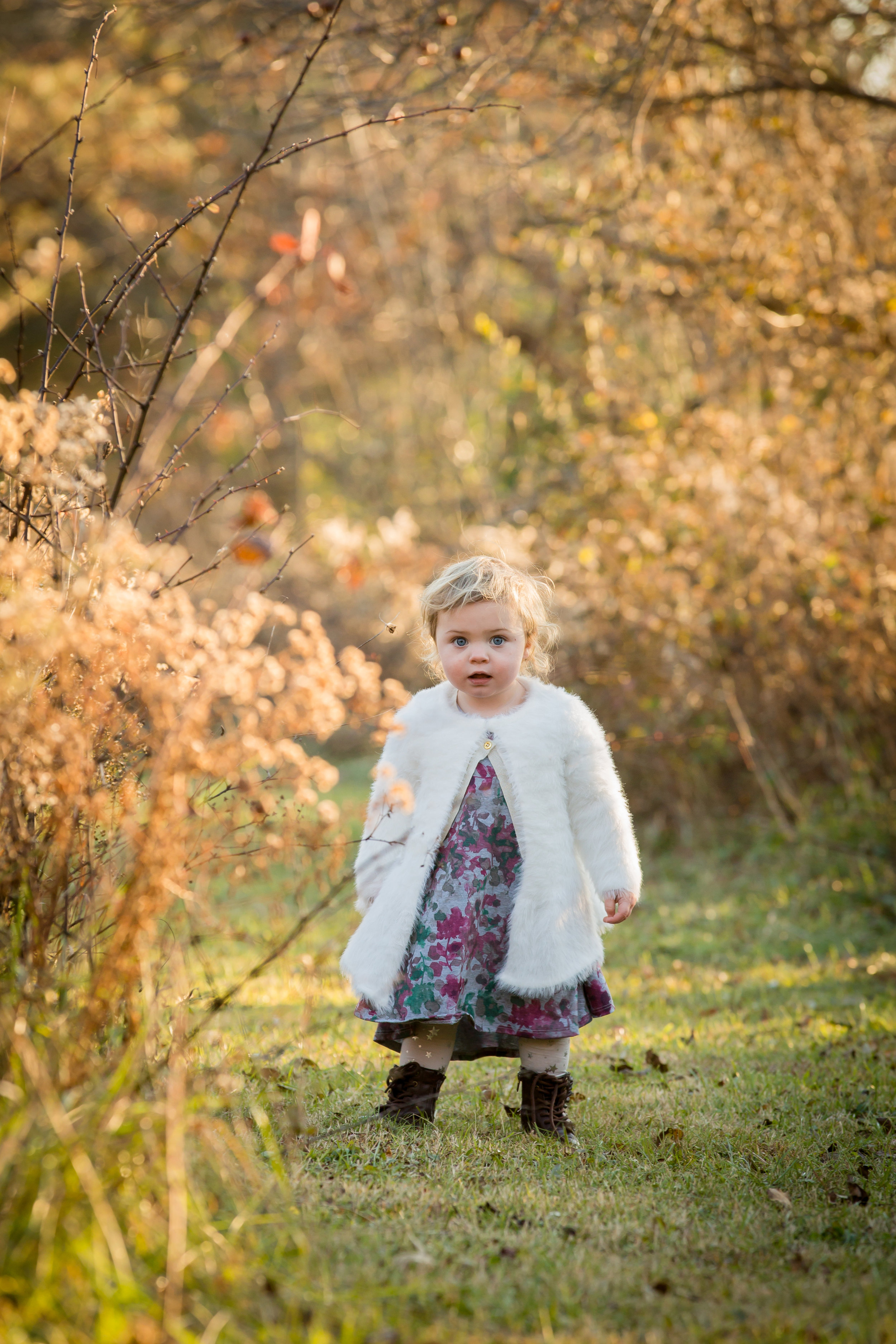 columbus ohio child photographer