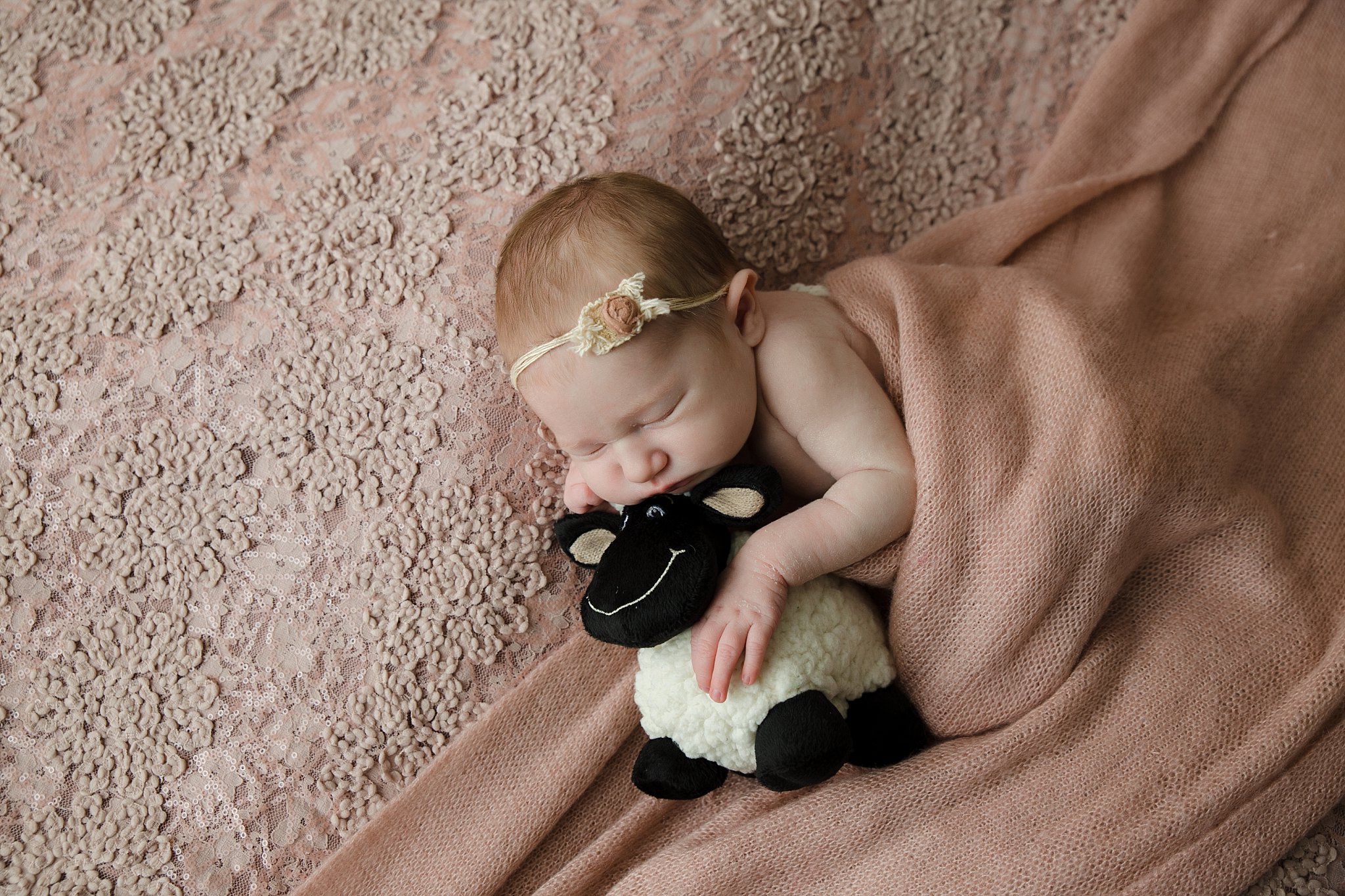 Newborn Photographer Columbus Ohio