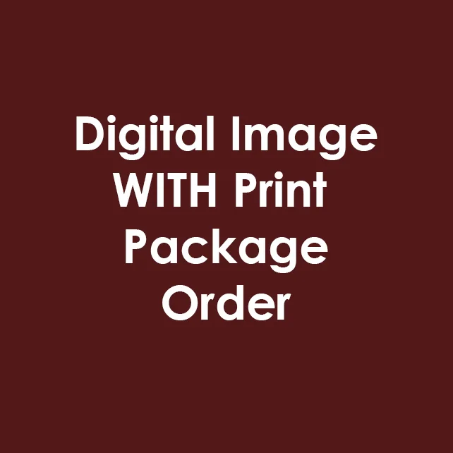 digital WITH.jpg