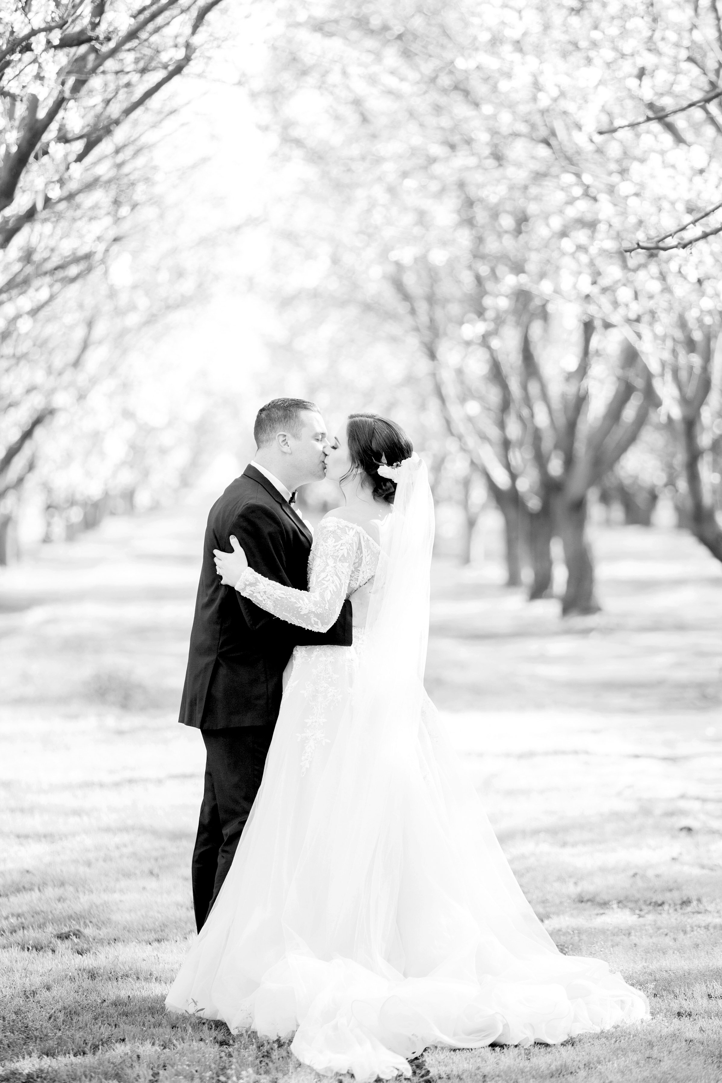 ALMOND-ORCHARD-WEDDING-PHOTOS-BROOKE-TOBIN-PHOTOGRAPHY_045.jpg