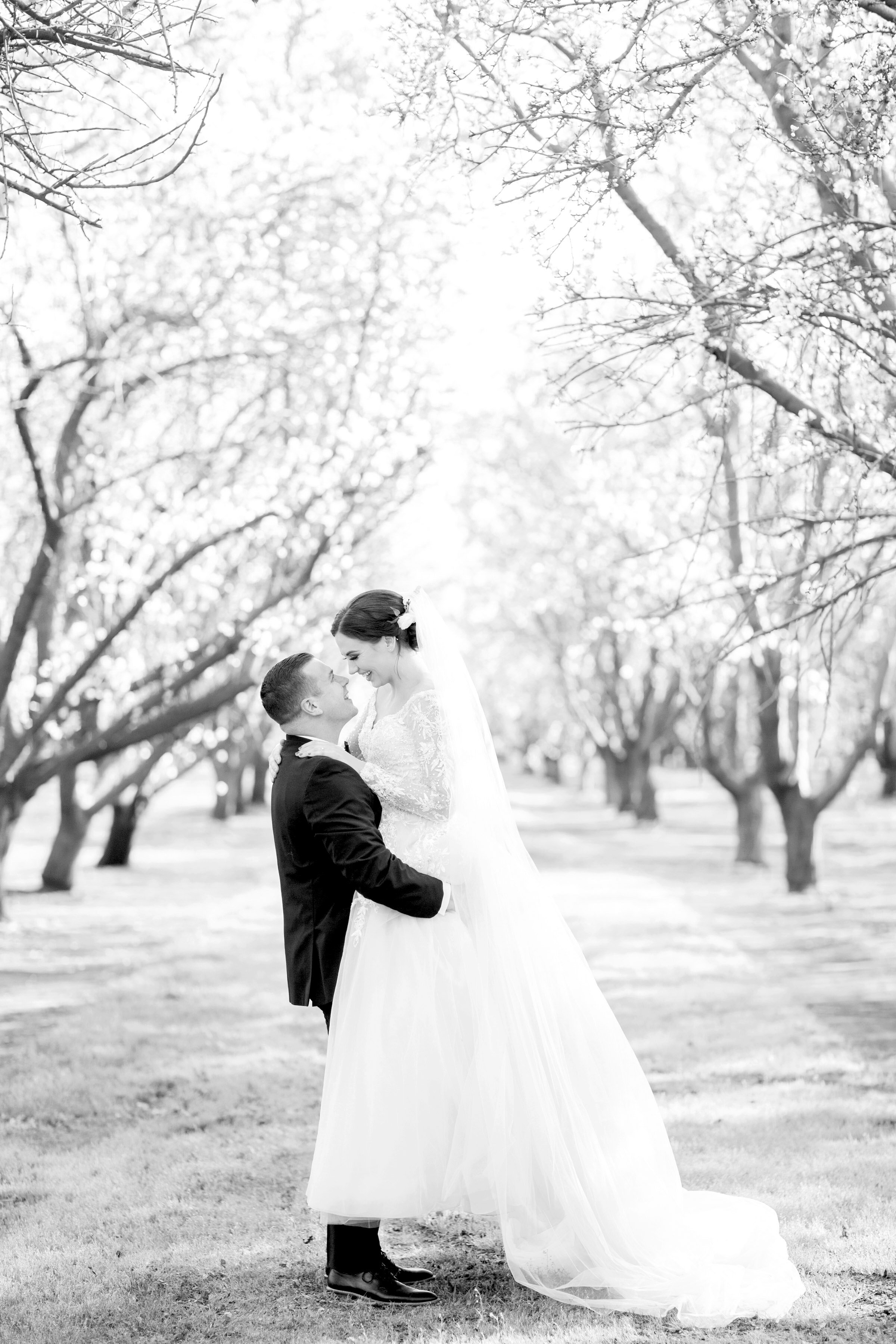 ALMOND-ORCHARD-WEDDING-PHOTOS-BROOKE-TOBIN-PHOTOGRAPHY_047.jpg