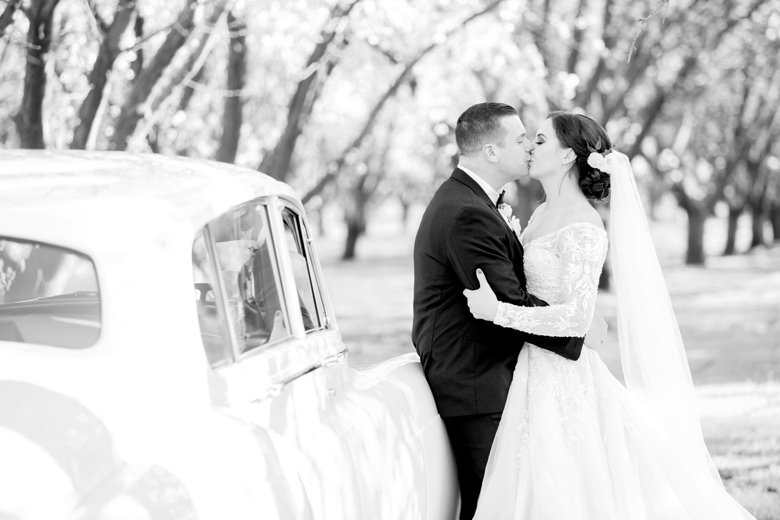 ALMOND-ORCHARD-WEDDING-PHOTOS-BROOKE-TOBIN-PHOTOGRAPHY_082.jpg