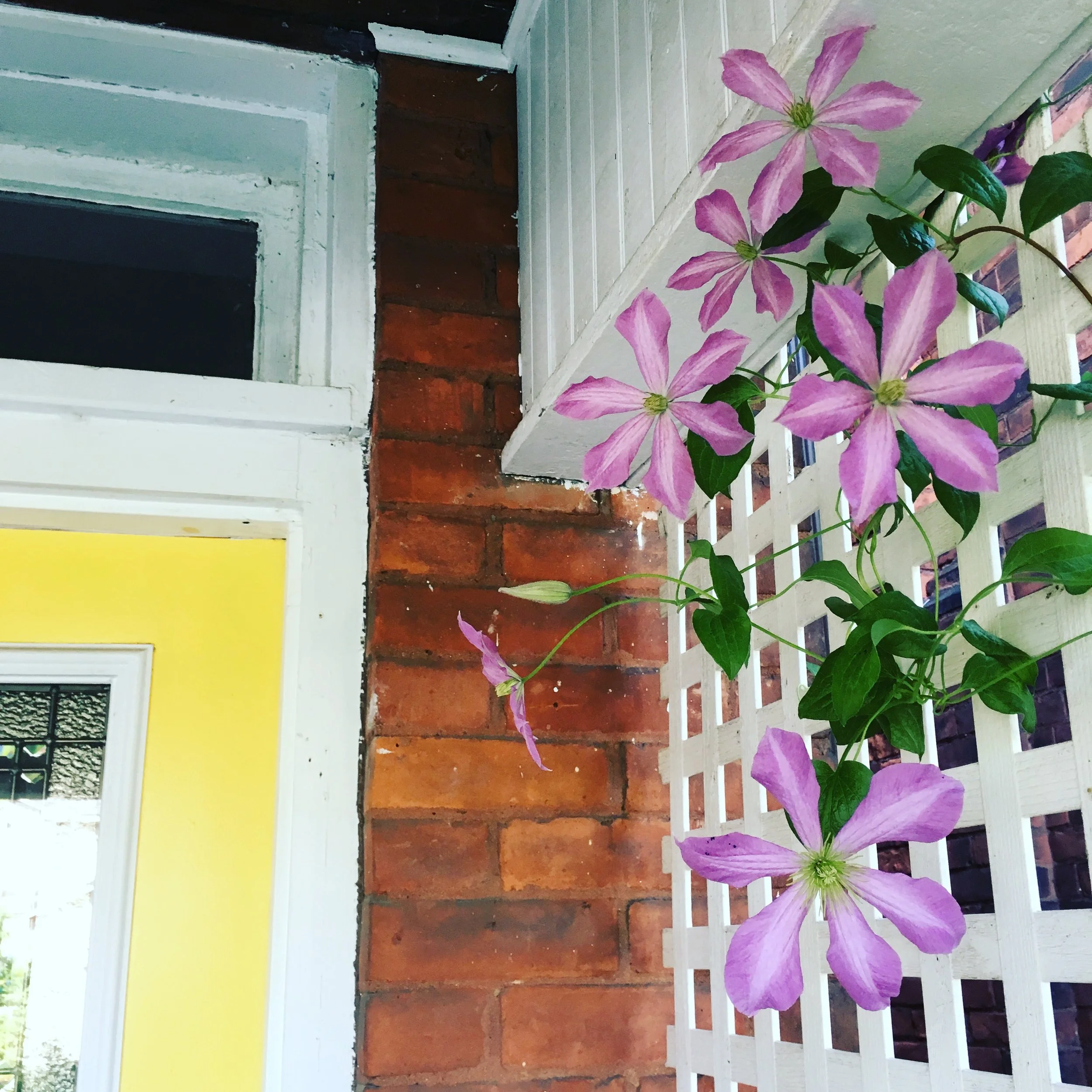 The Yellow Door