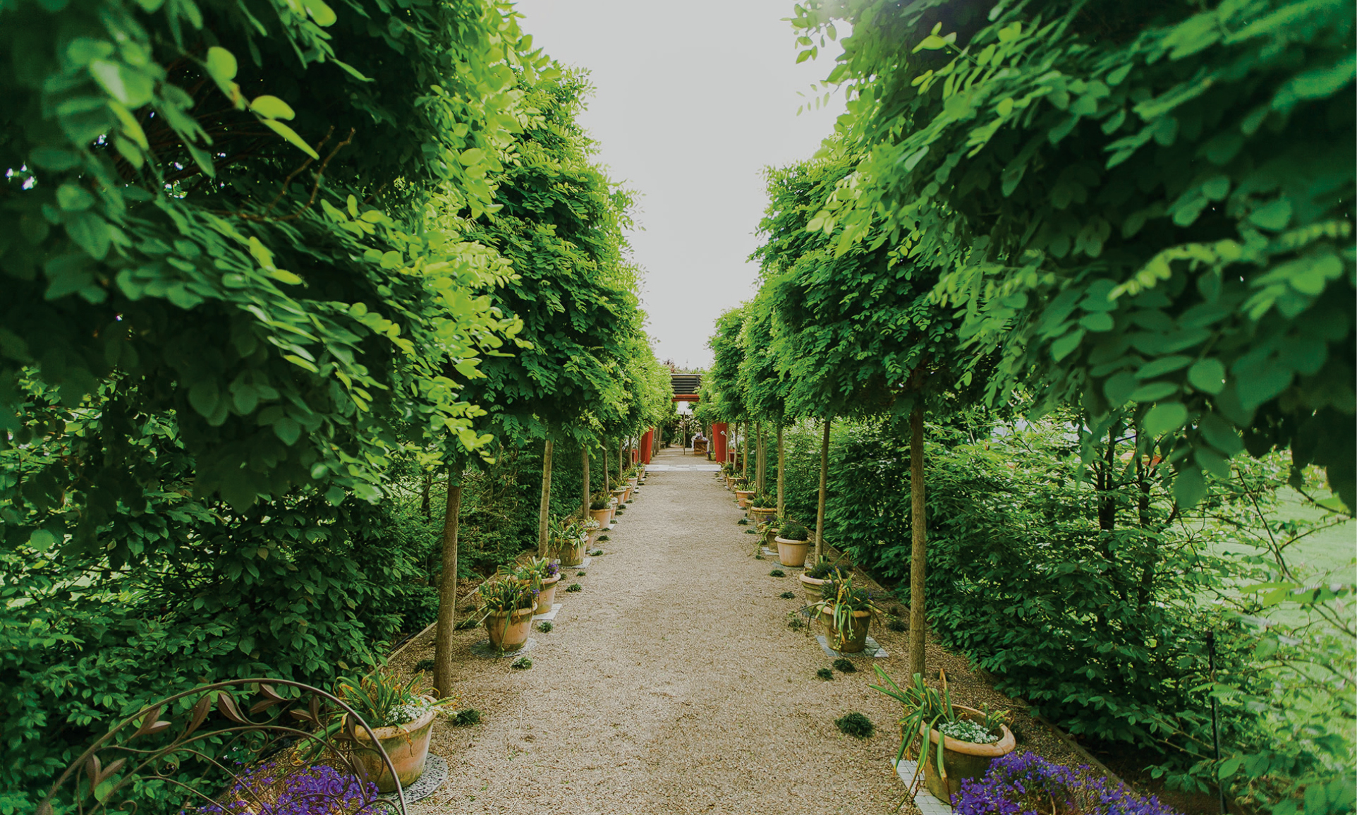 plum meadow garden tours.jpg