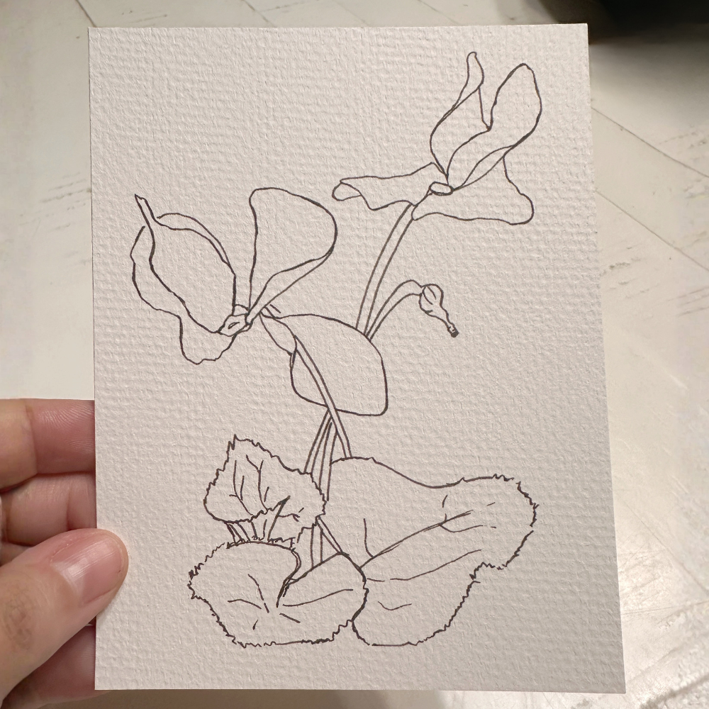 Untitled design-19.png