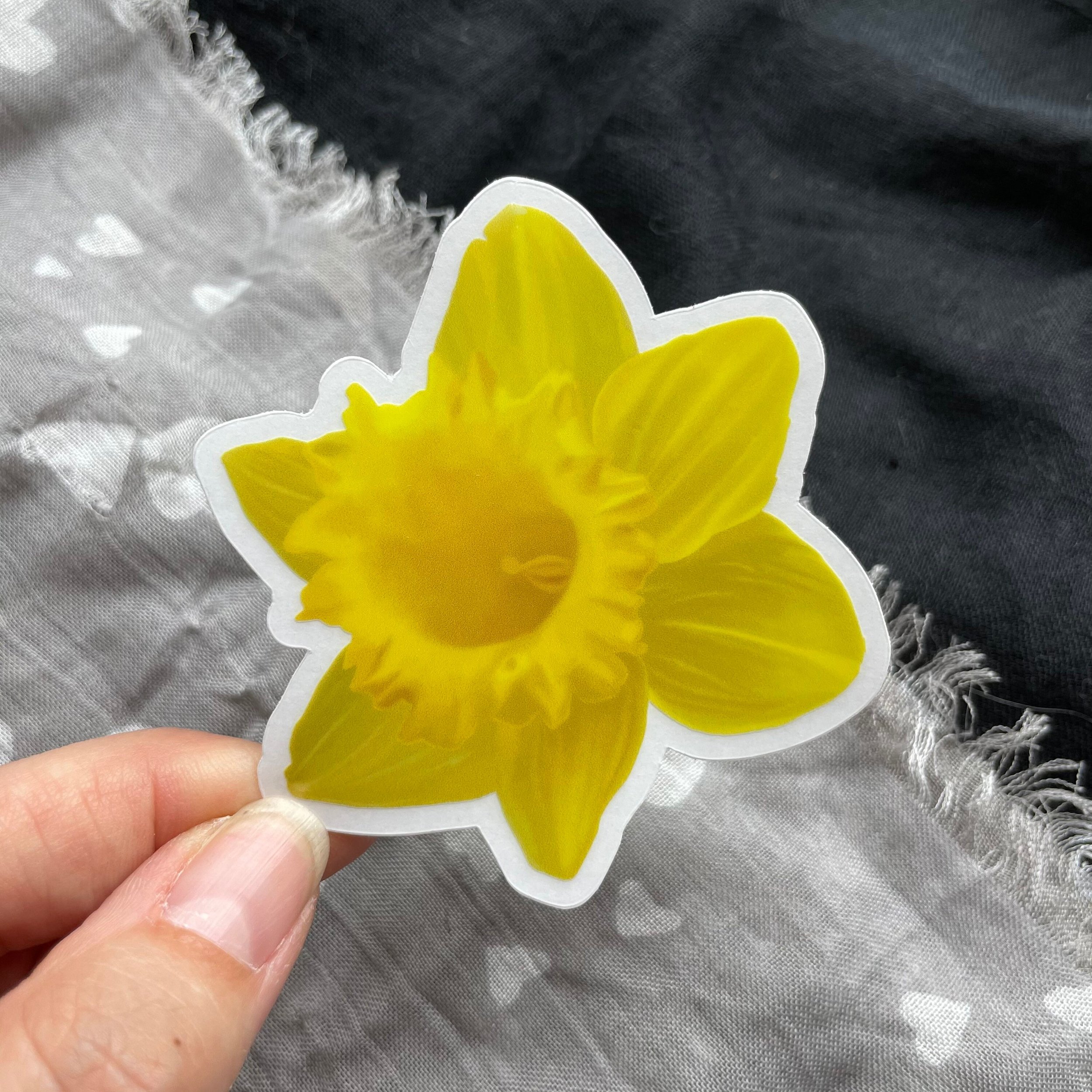 https://i.etsystatic.com/25935268/r/il/071327/3166991437/il_fullxfull.3166991437_9mum.jpg