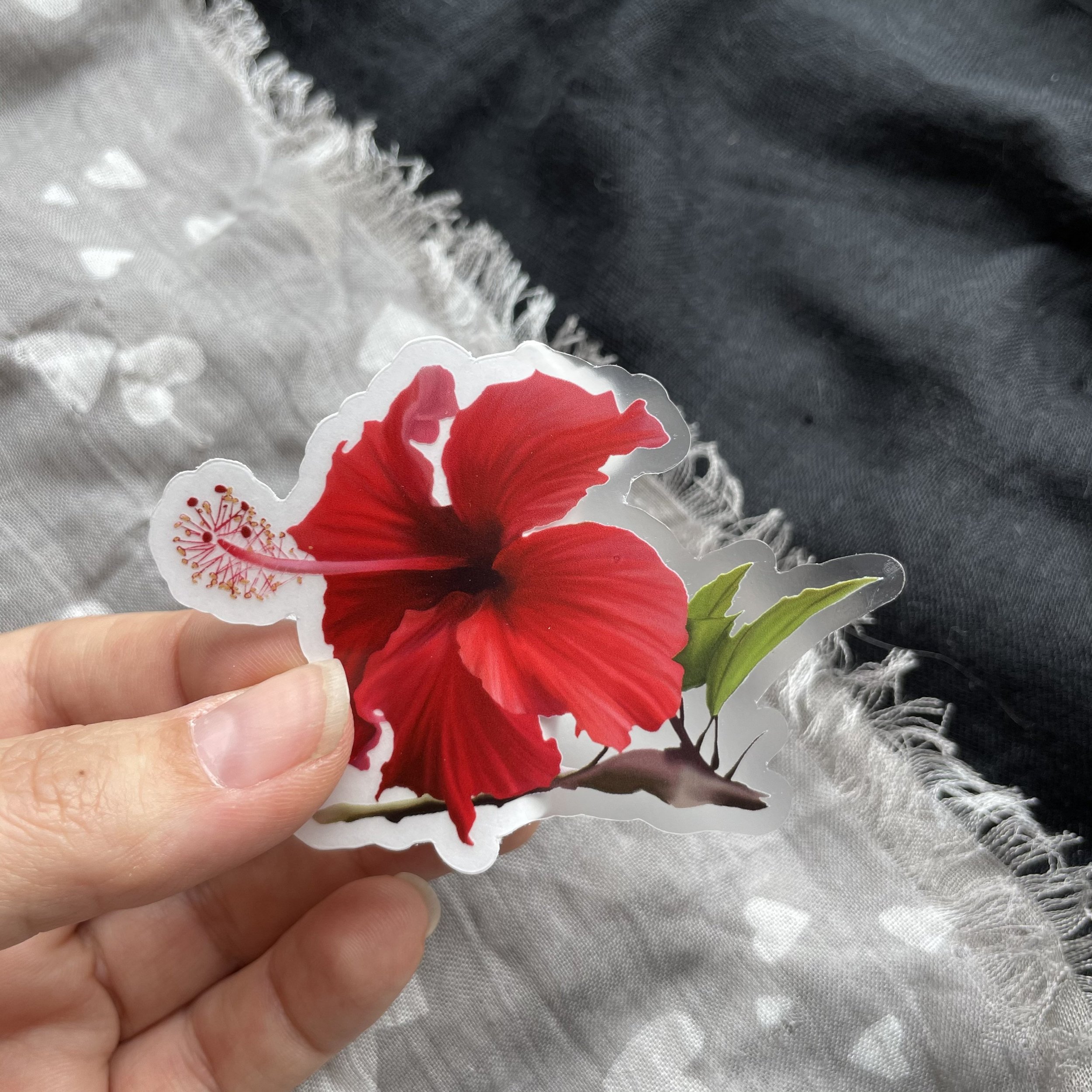 https://i.etsystatic.com/25935268/r/il/f82ea4/3163848737/il_fullxfull.3163848737_ny8e.jpg