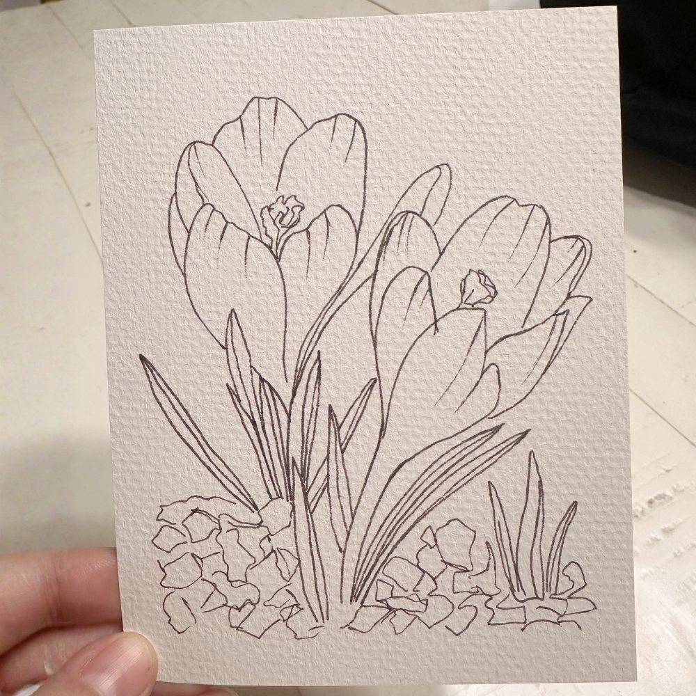 Untitled design-27.png