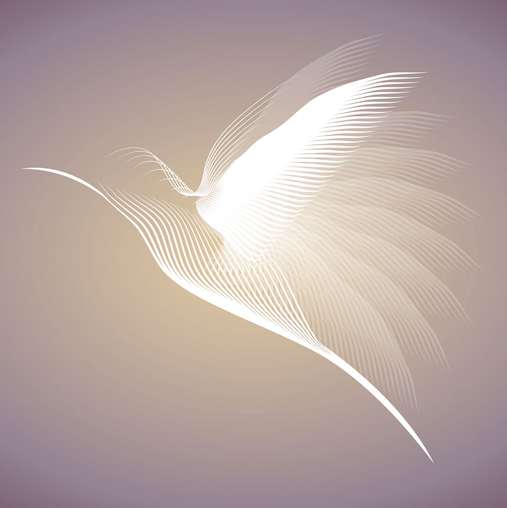 hummingbird-gallery.jpg