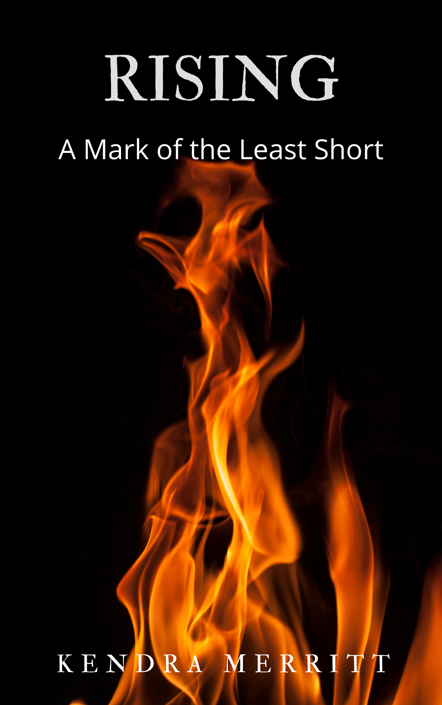 Rising Book Cover.png