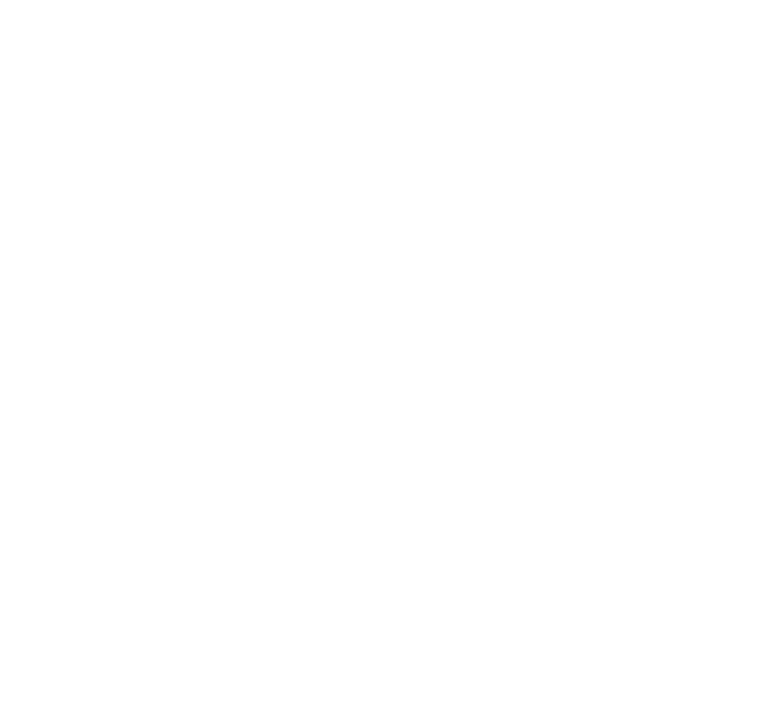 Nijee Holdings Inc.