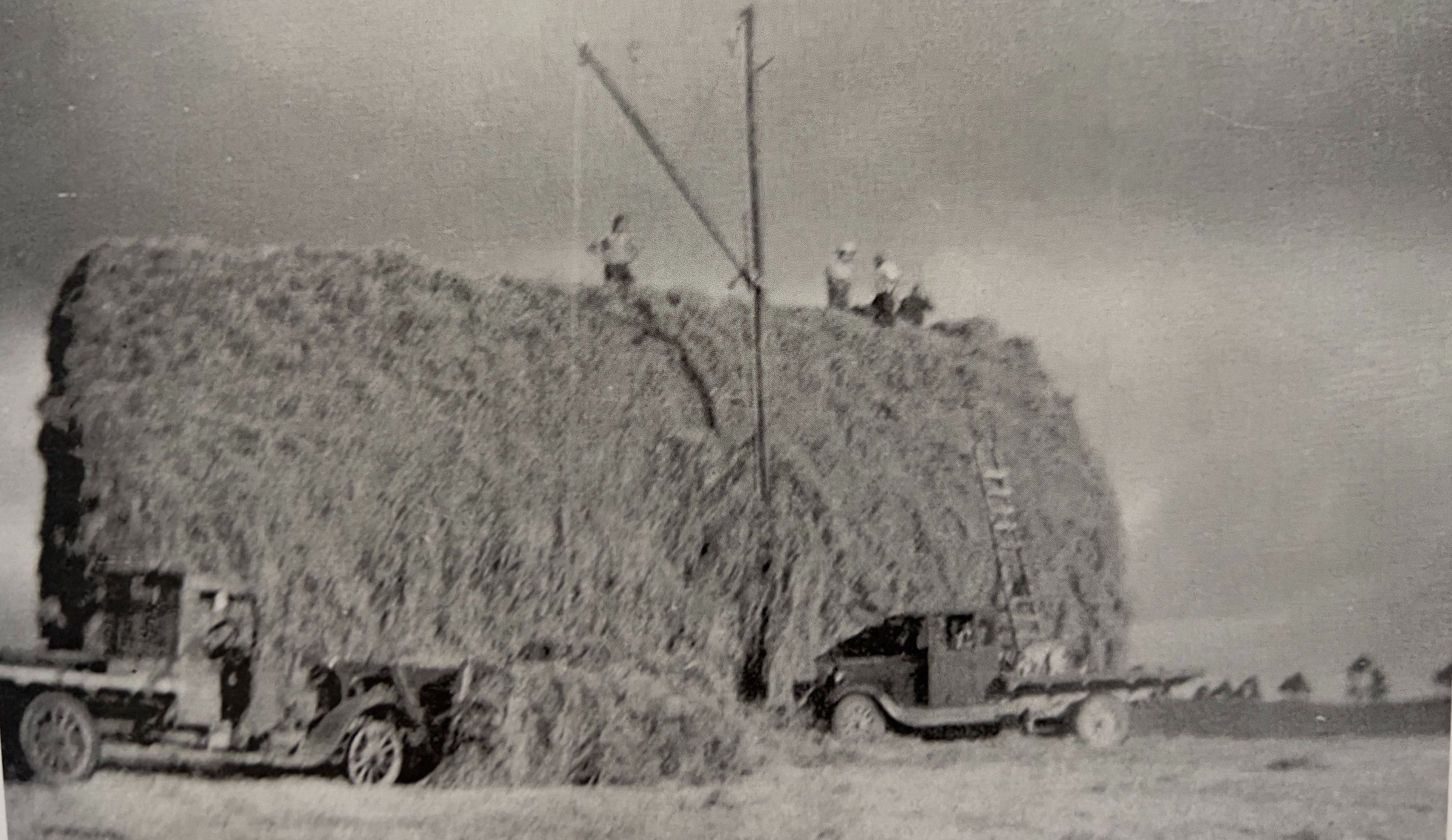 Building a hay stack in 1930s
