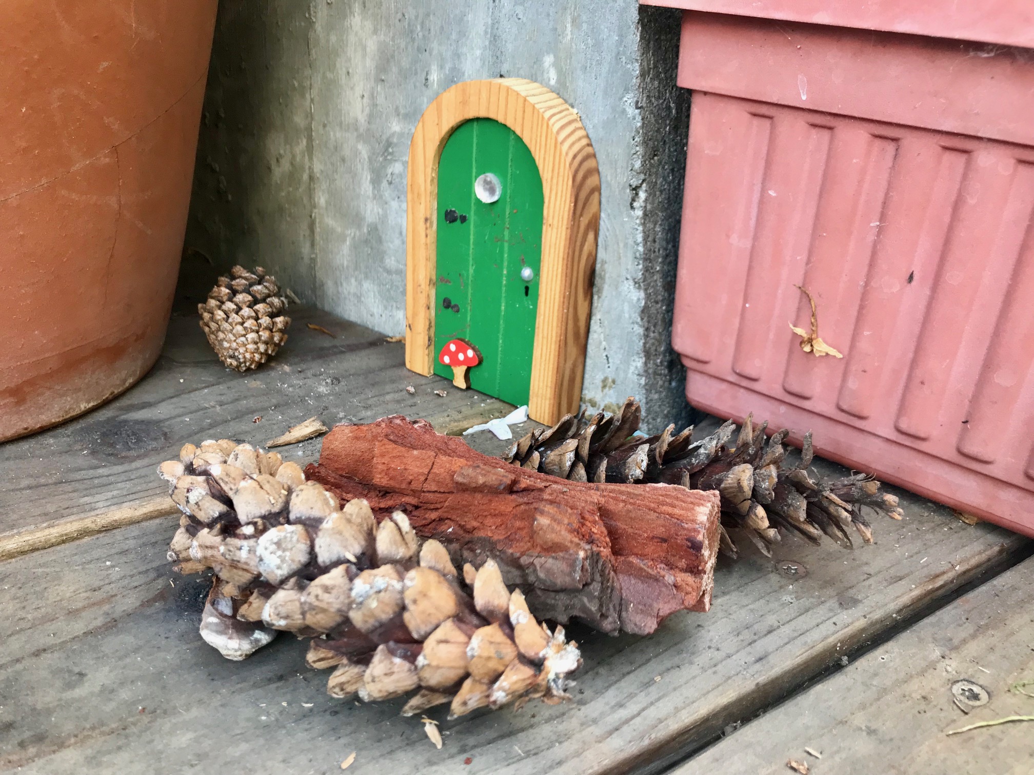 Fairy Door.jpg