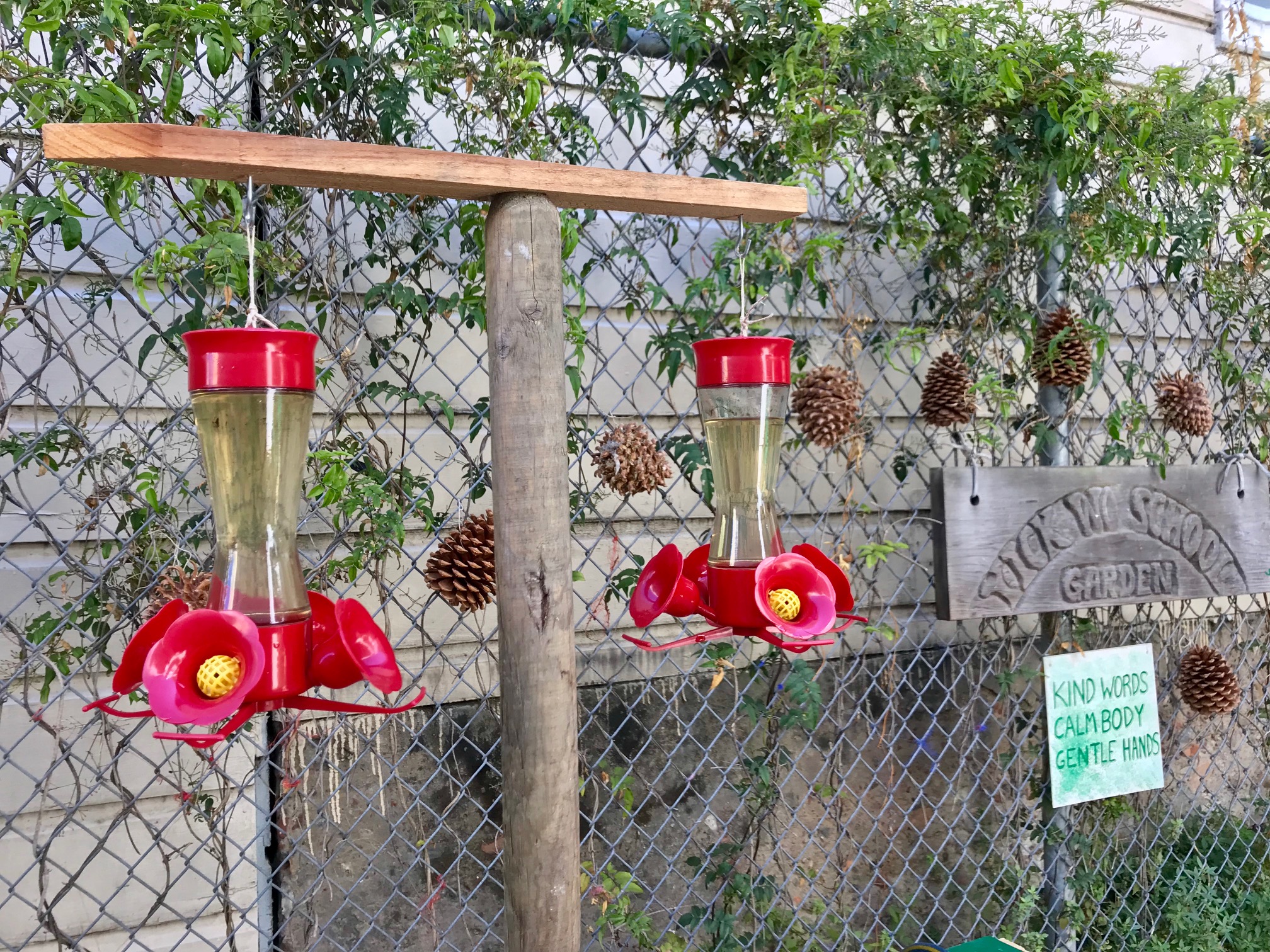 hummingbird feeders.jpg