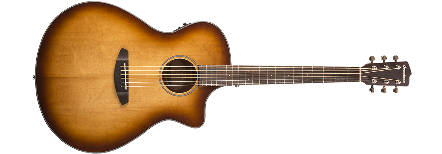 BREEDLOVE GUITAR