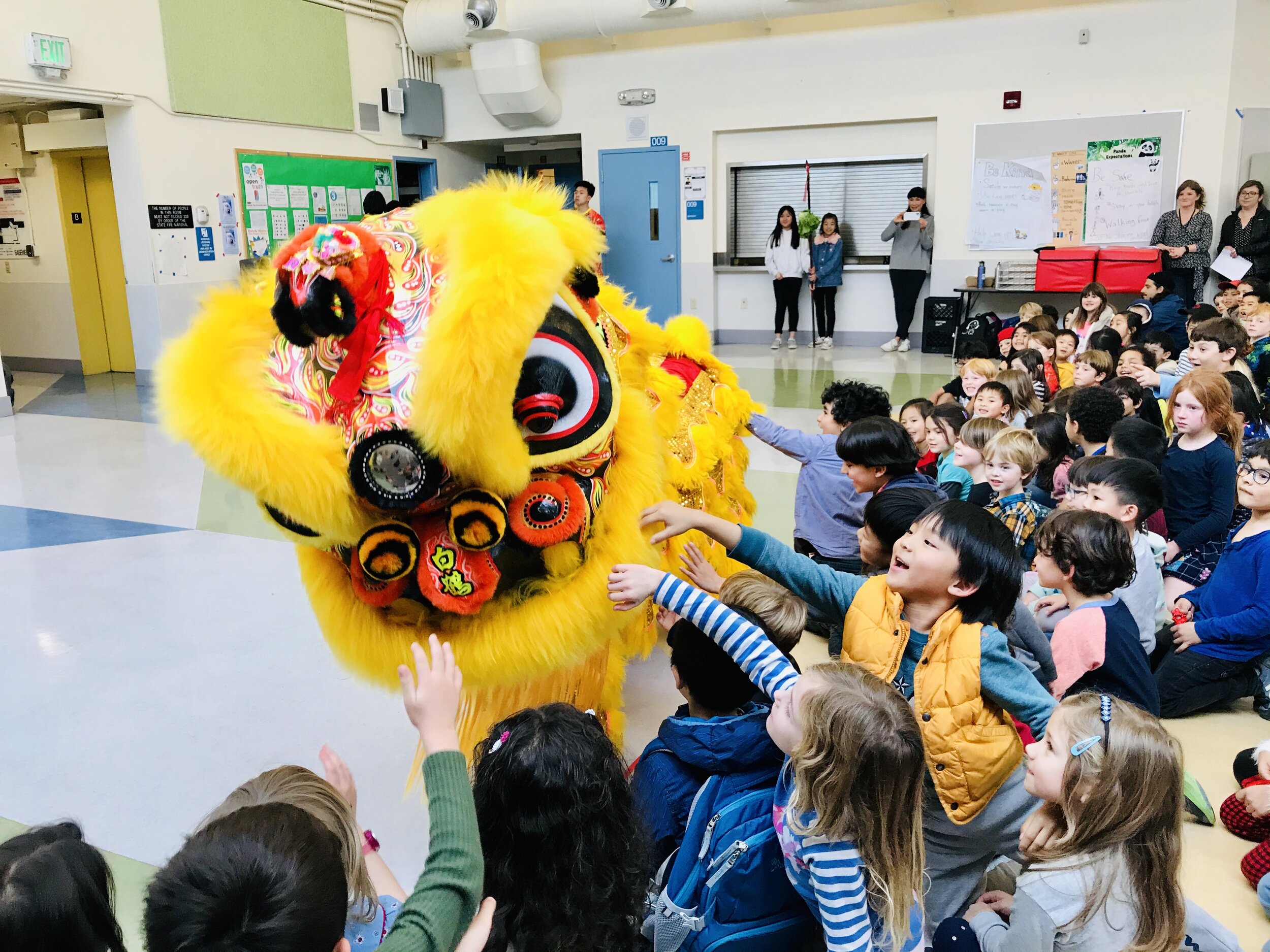 lion dance.JPG