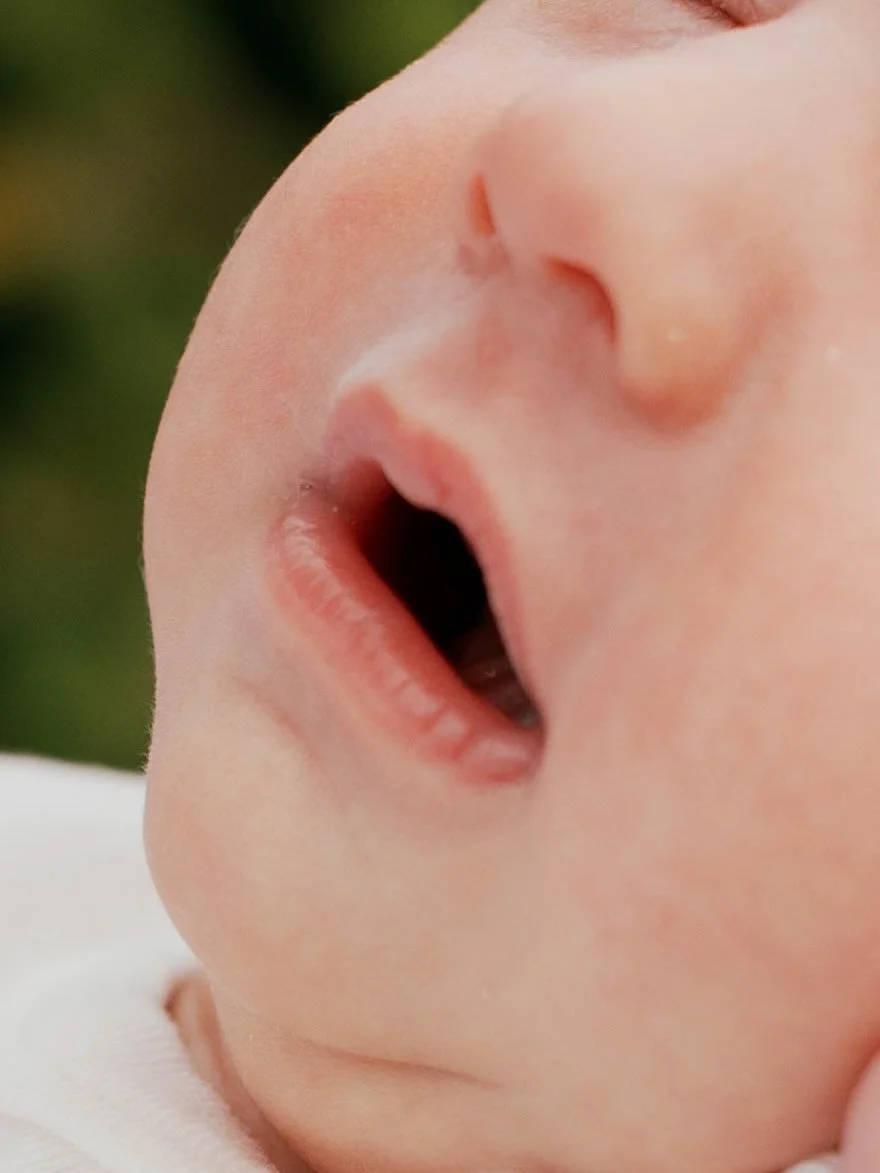 Little Laney details