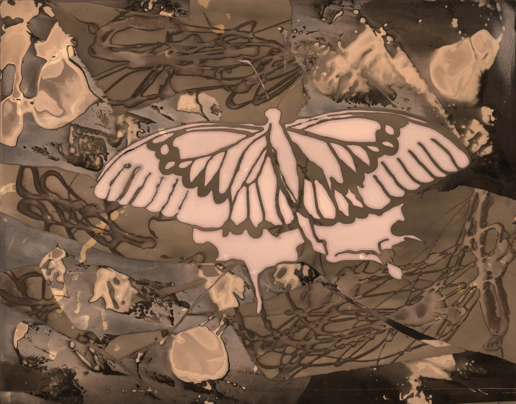 'Butterfly2'