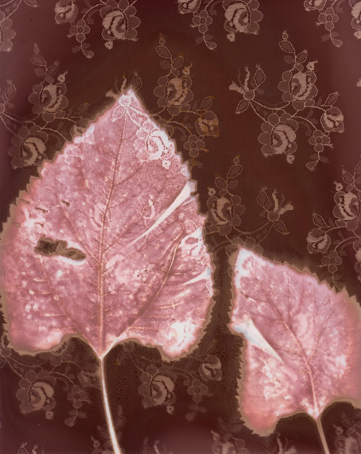 Lumenprint