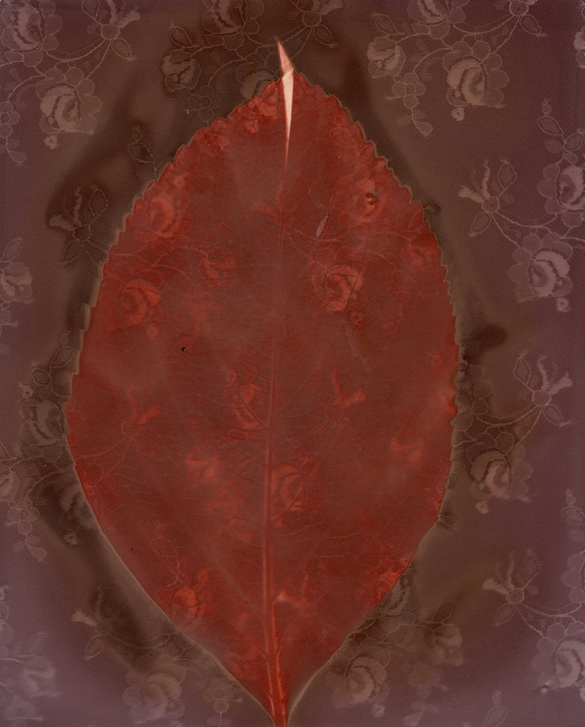Lumenprint