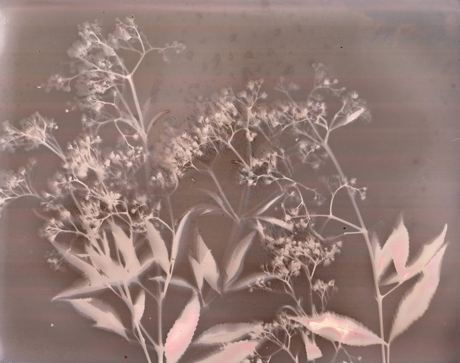 Lumenprint