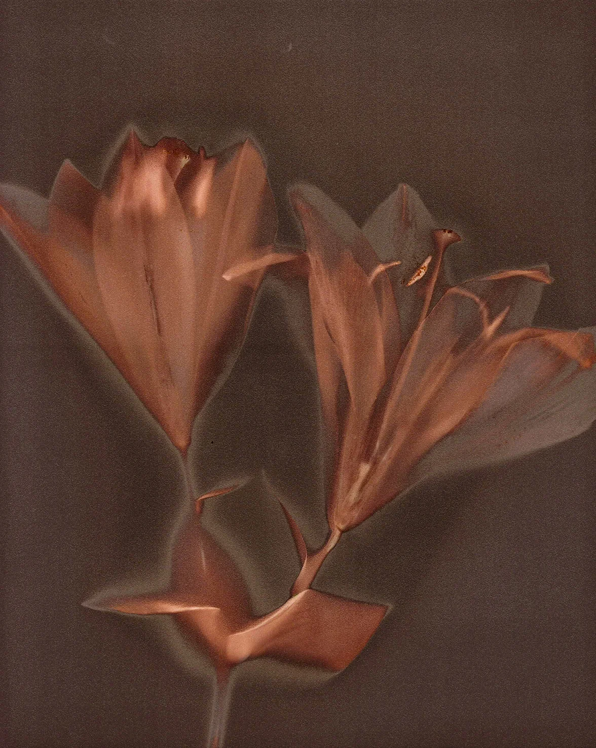 Lumenprint