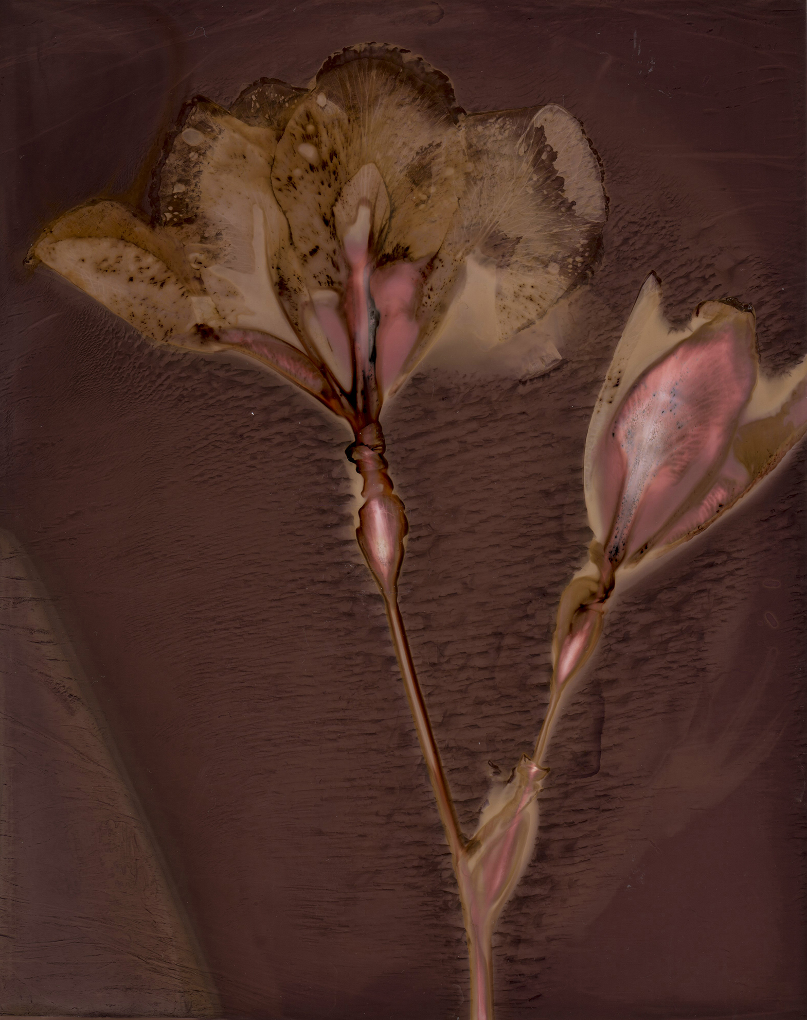 Lumenprint