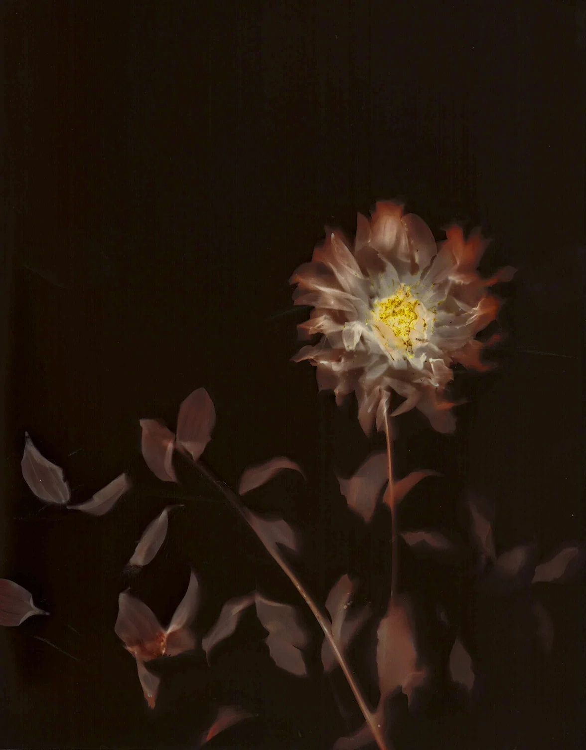 Lumenprint