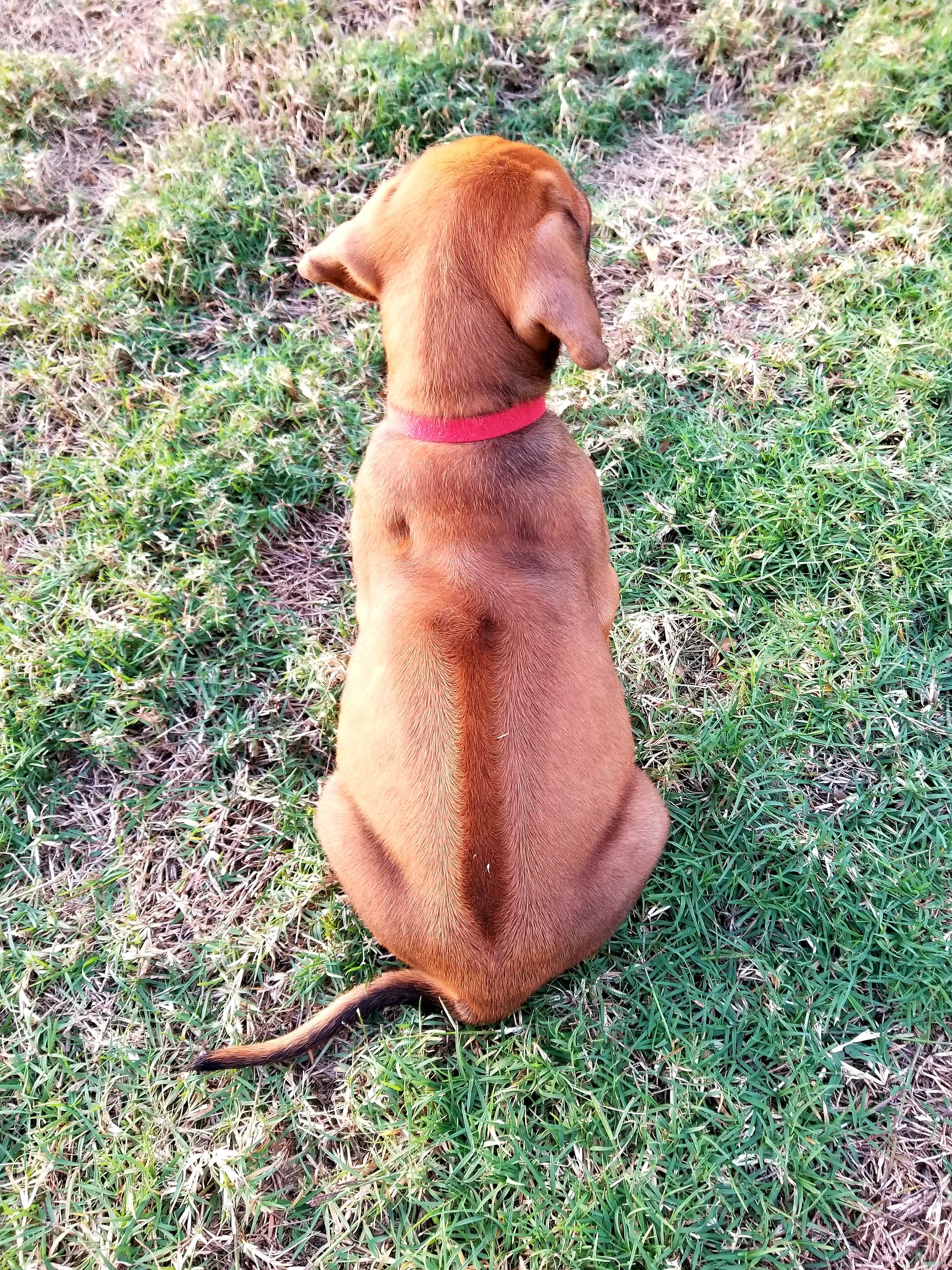20181023_202342.jpg
