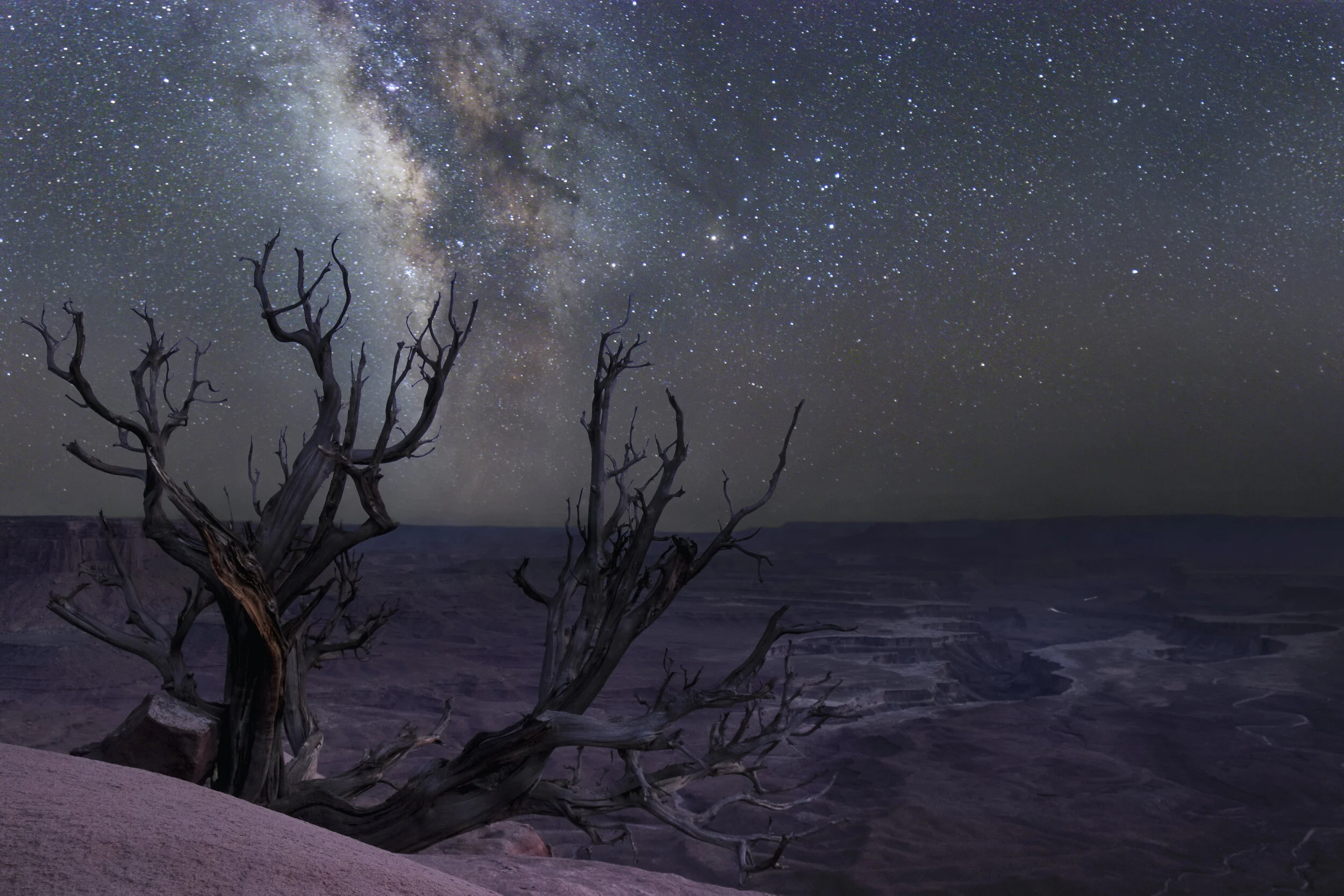20210809 - Dead Tree Milky Way Canyonlands v2 copy.jpeg
