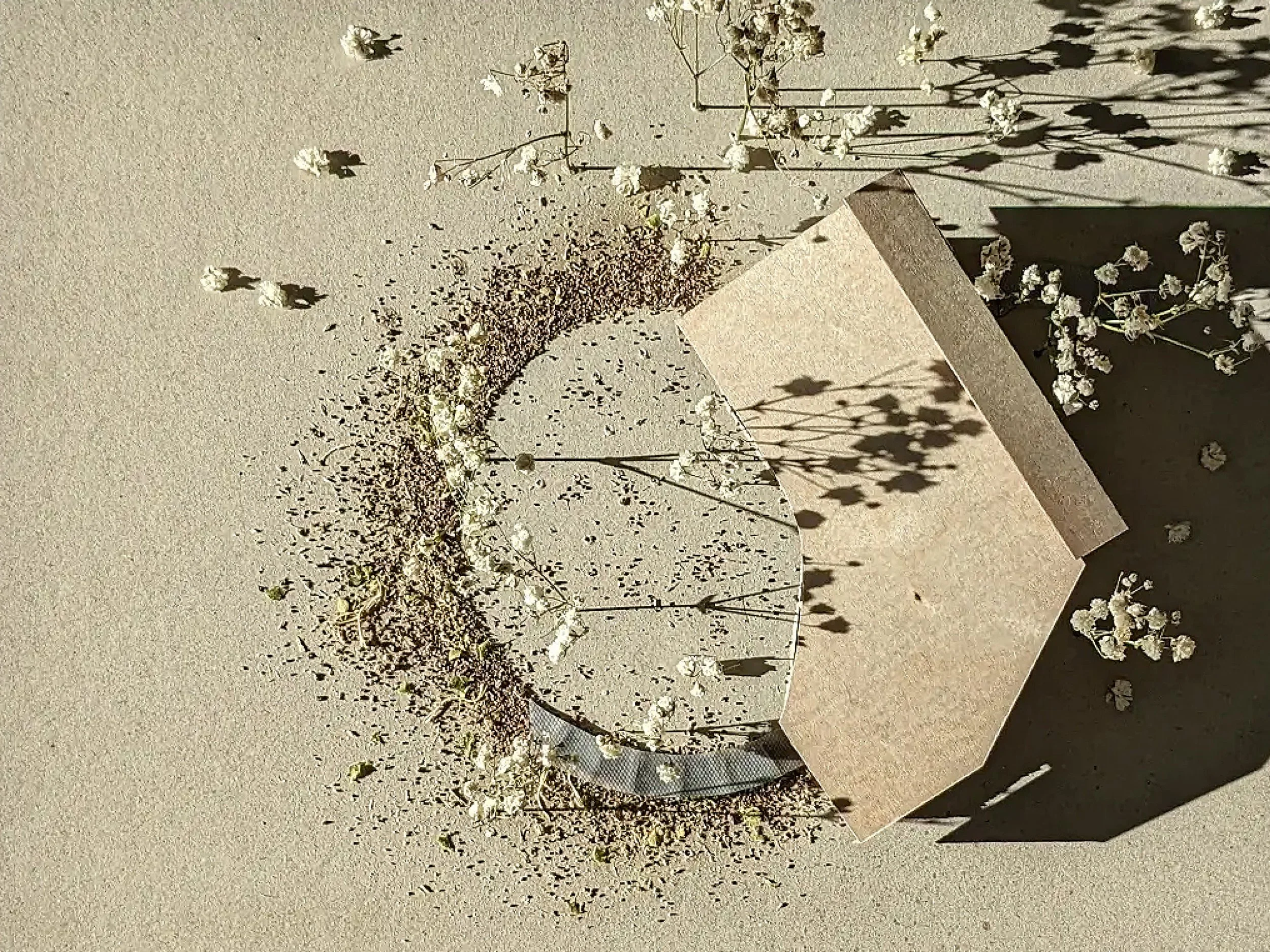 PLACE OF HEALING_SIZED2.jpg