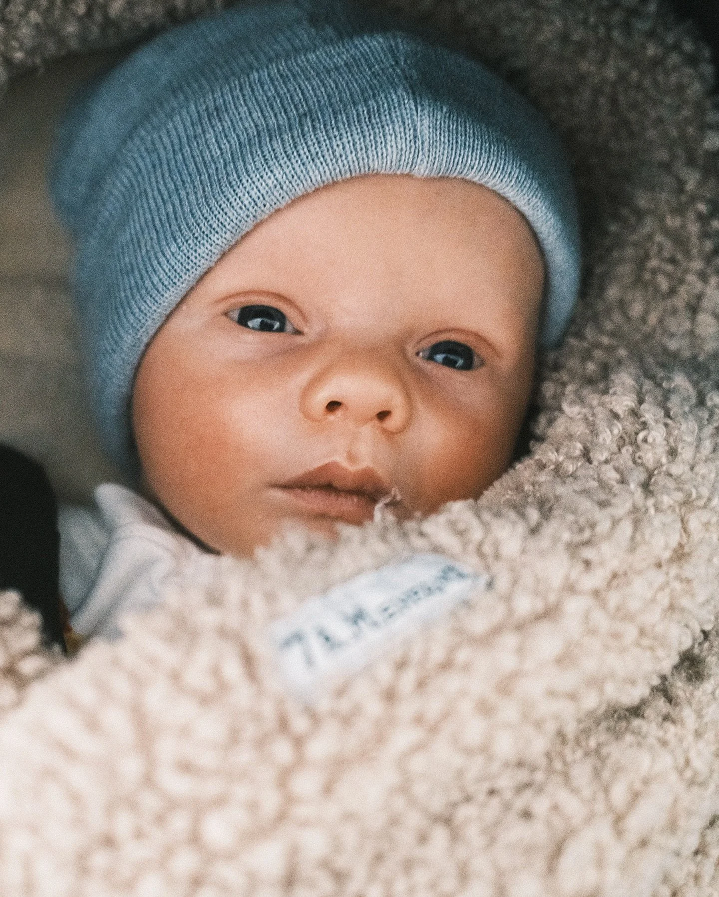 finally complied enough pics of our newest family member, ozzy fredrik leyland, who arrived a couple days earlier than expected ;) on the afternoon of feb 10, 2025 at just over 7lb.  nad was (and still is) such a champion!!! so much thanks to the ren