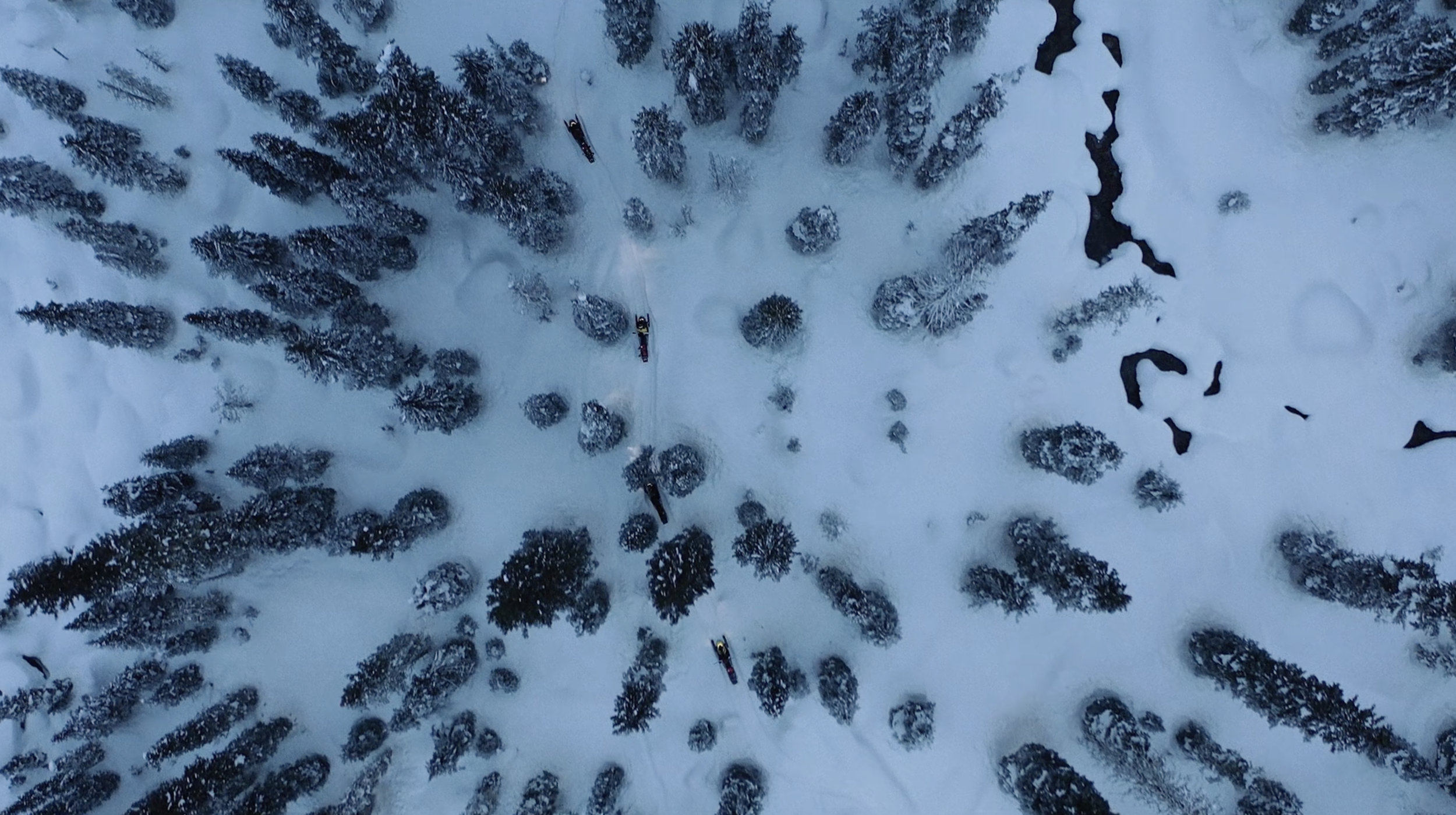 Powderhounds