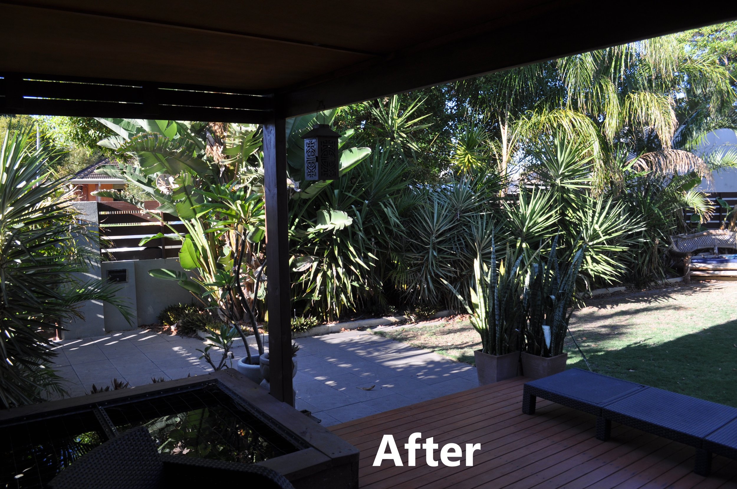 BOTH HOME AFTER 6.JPG